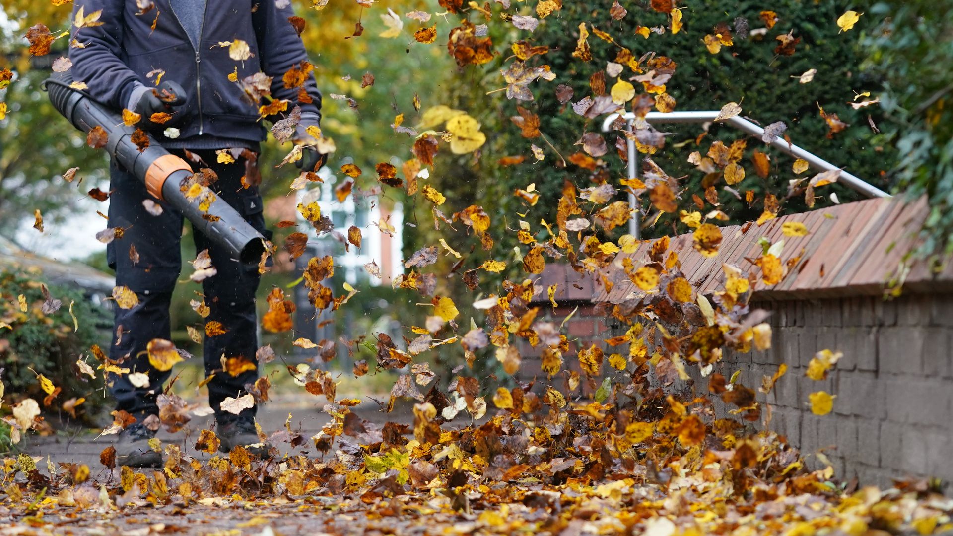 PRODUCTION - 01 November 2023, Hamburg: A man uses a leaf blower to remove autumn leaves from a sidewalk in the Eimsbüttel district. (to dpa: "City cleaning starts fight against autumn leaves - up to 20,000 tons") Photo: Marcus Brandt/dpa (Photo by Marcus Brandt/picture alliance via Getty Images)