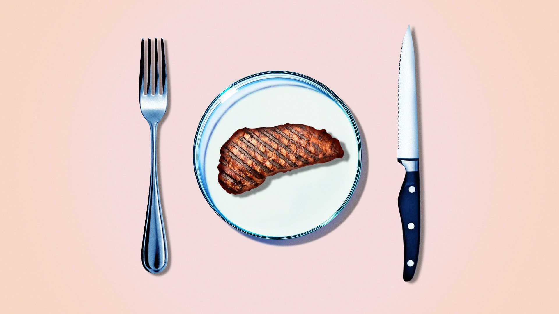 Illustration of alternative meat