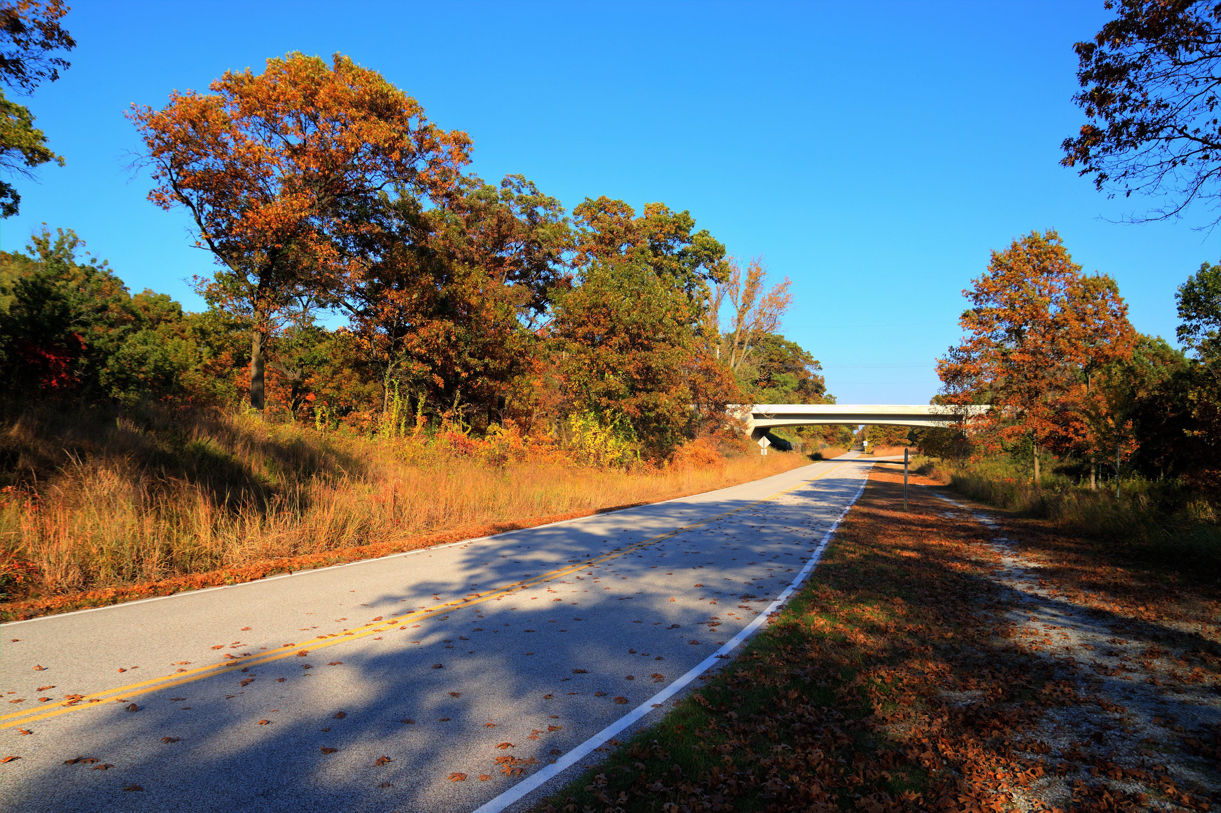 Photo of a bike trail 