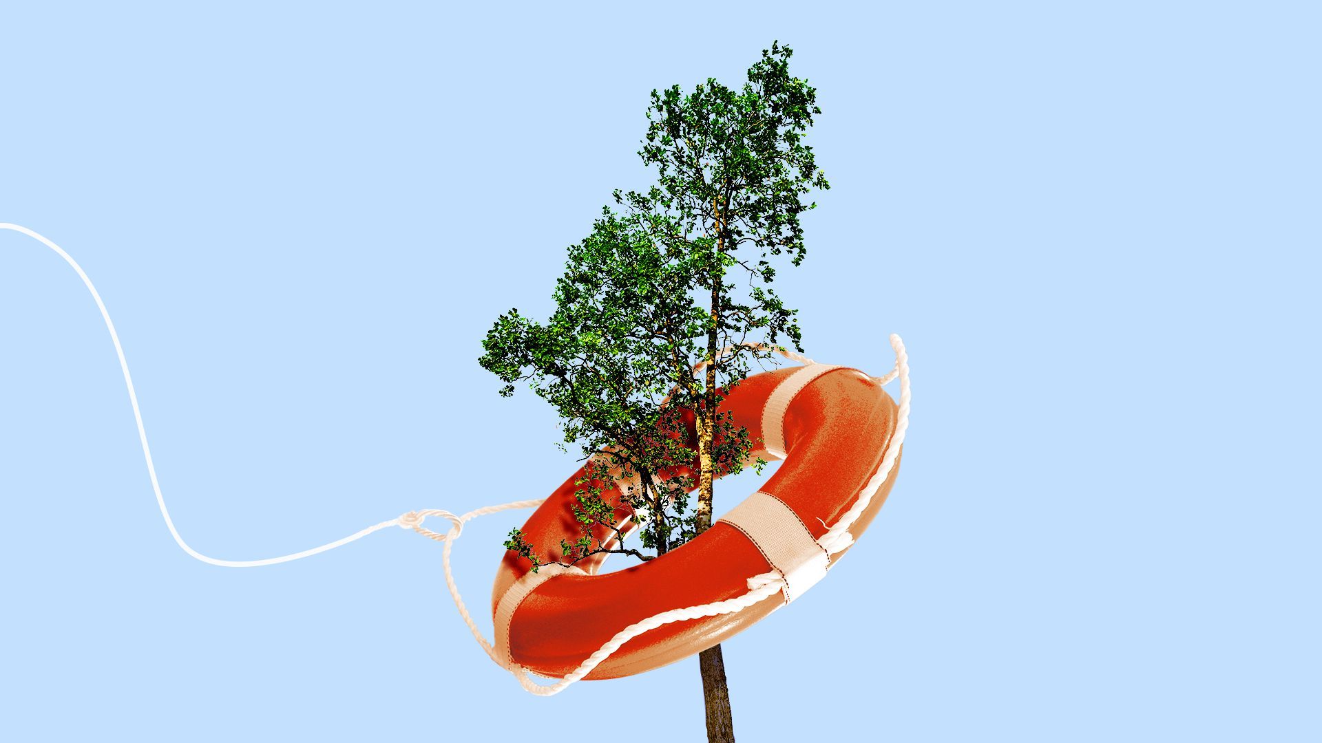 Illustration of a floatation device lifesaver wrapped around a tree
