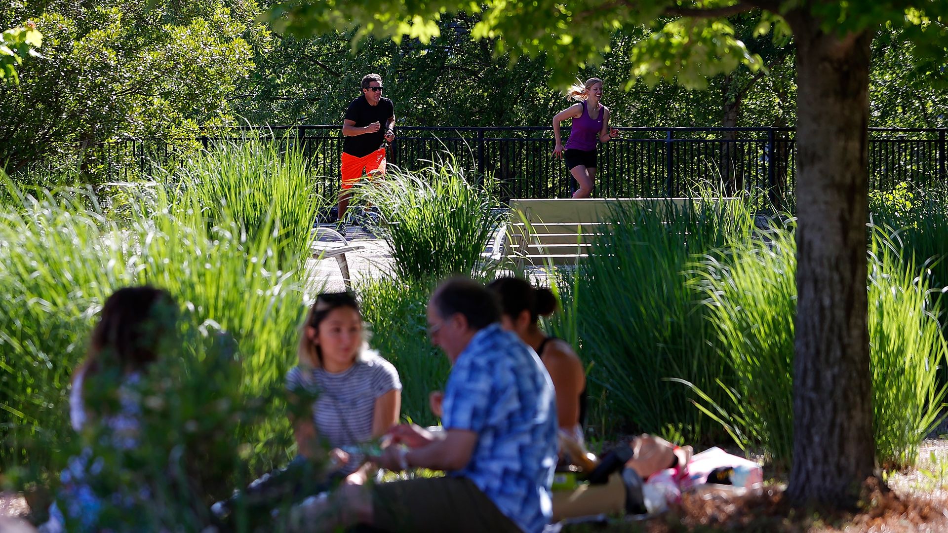 Joggers run through a park