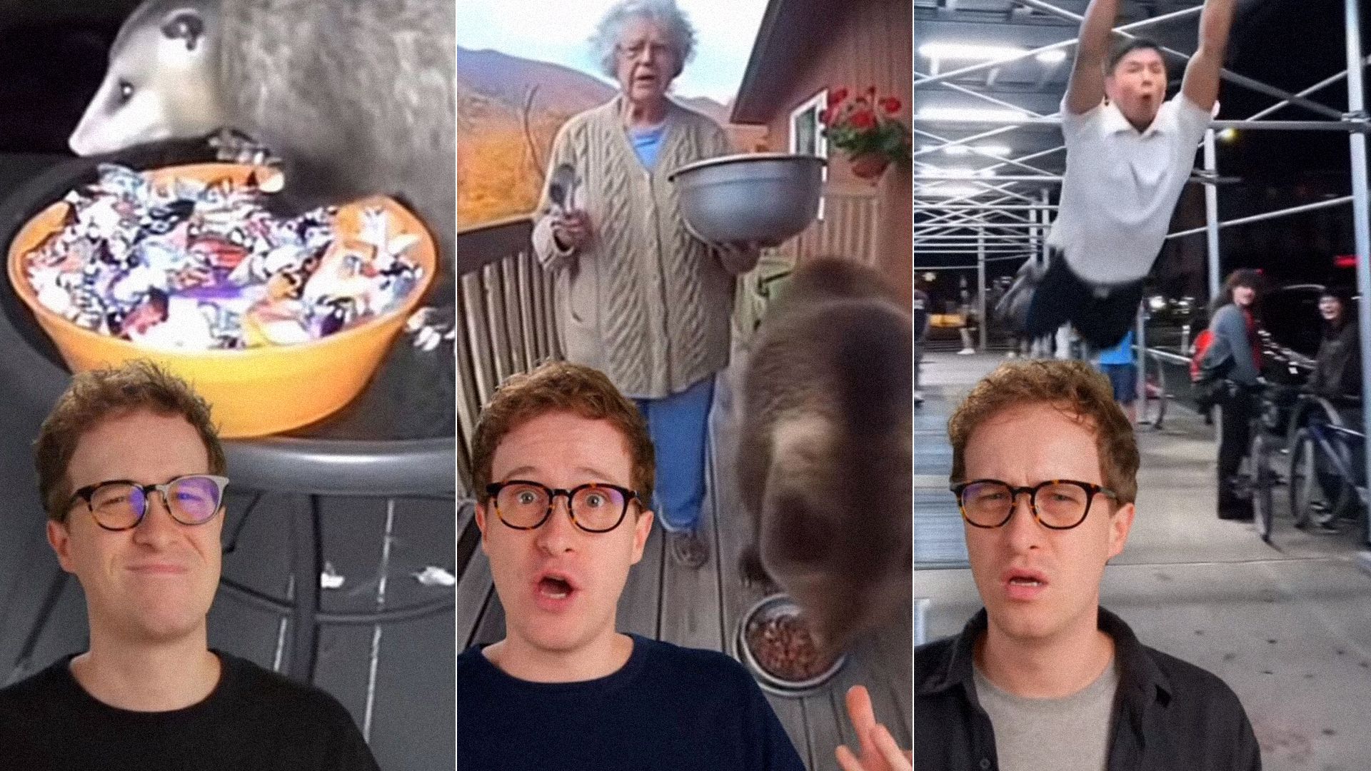 Three-panel image: Left shows a man with glasses watching a possum eat candy from an orange bowl; center shows the man surprised by an elderly woman and a raccoon on a porch; right shows the man confused while a person jumps behind him near bikes at night.