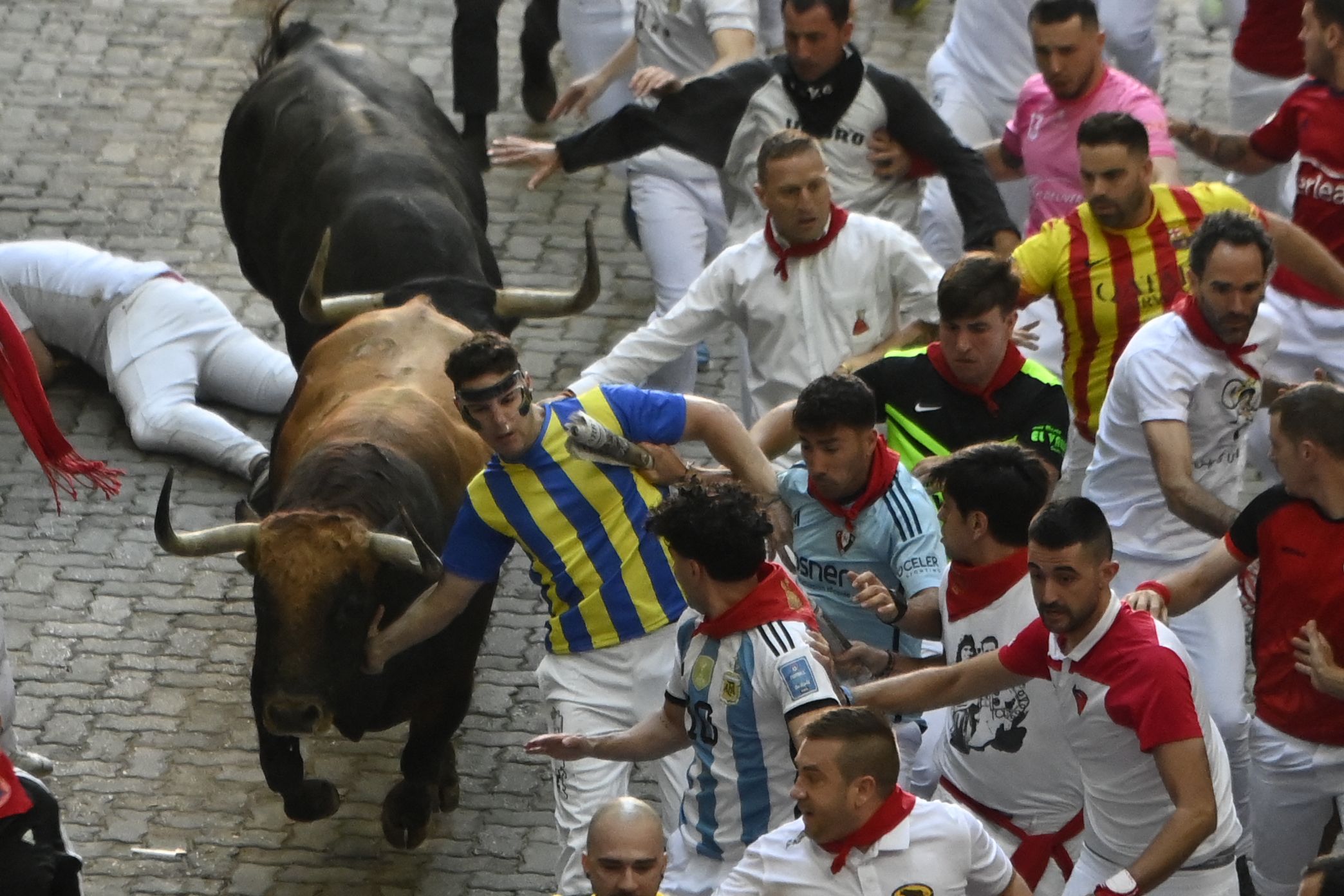 Bull and men