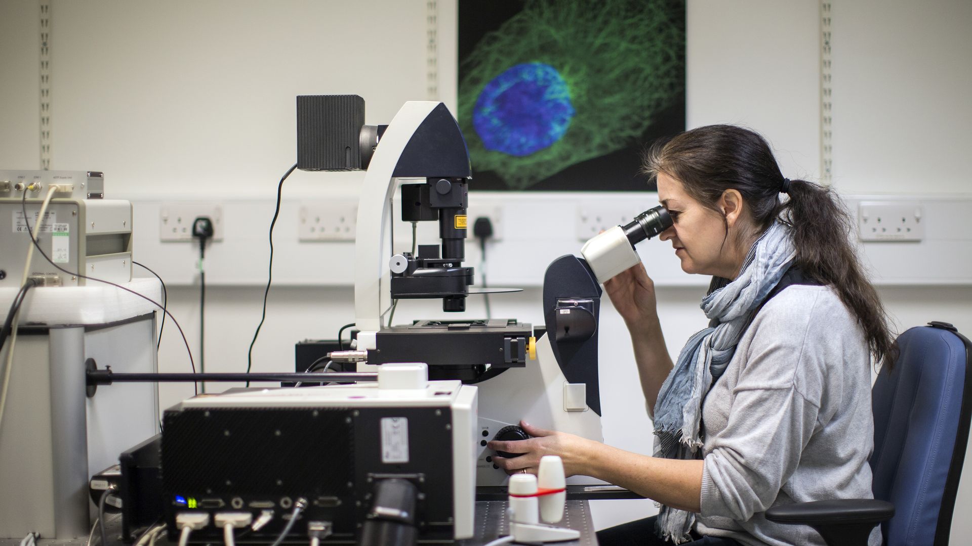 A scientist studies cells through a microscope in a lab.