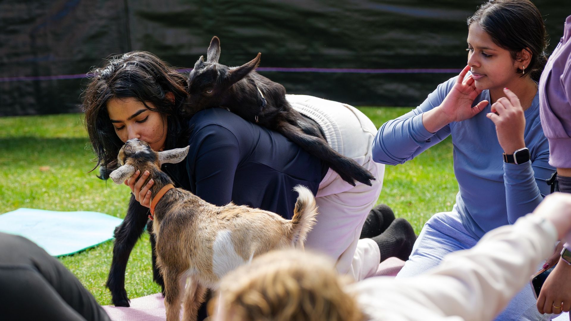 Outdoor scene with a woman in dark blue leaning to kiss a small tan-and-white goat while a black goat sits on her back; another woman in light blue watches on a pink mat on green grass.