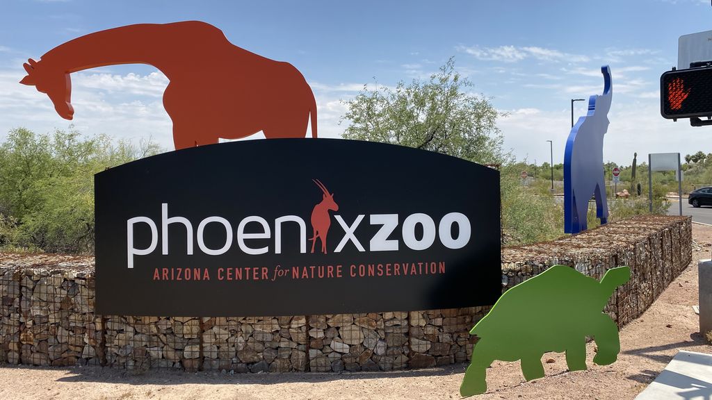 Jsphoenix Who's got the better zoo? Phoenix and San Diego compare and contrast ...