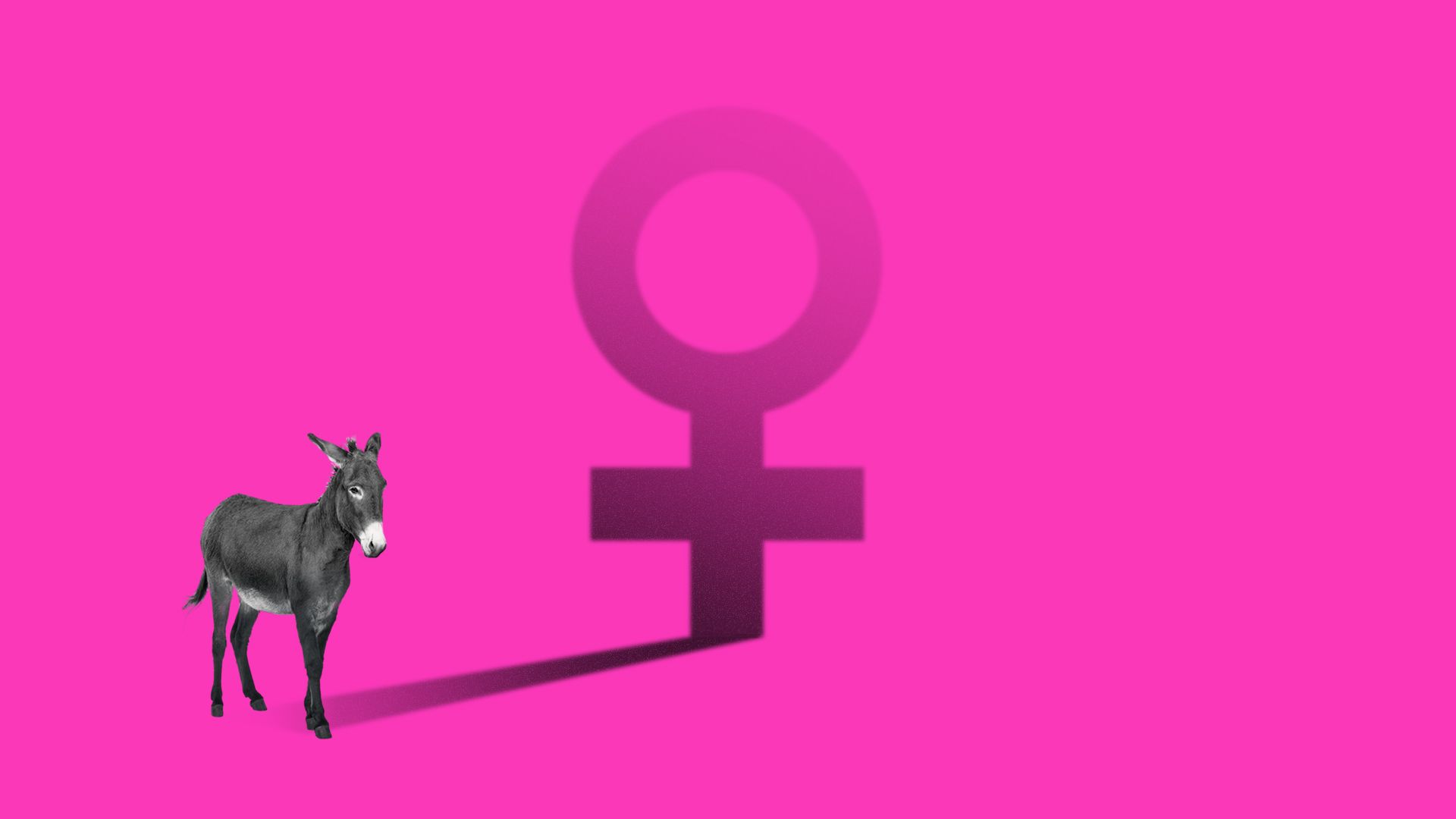Illustration of a donkey with a female symbol shadow