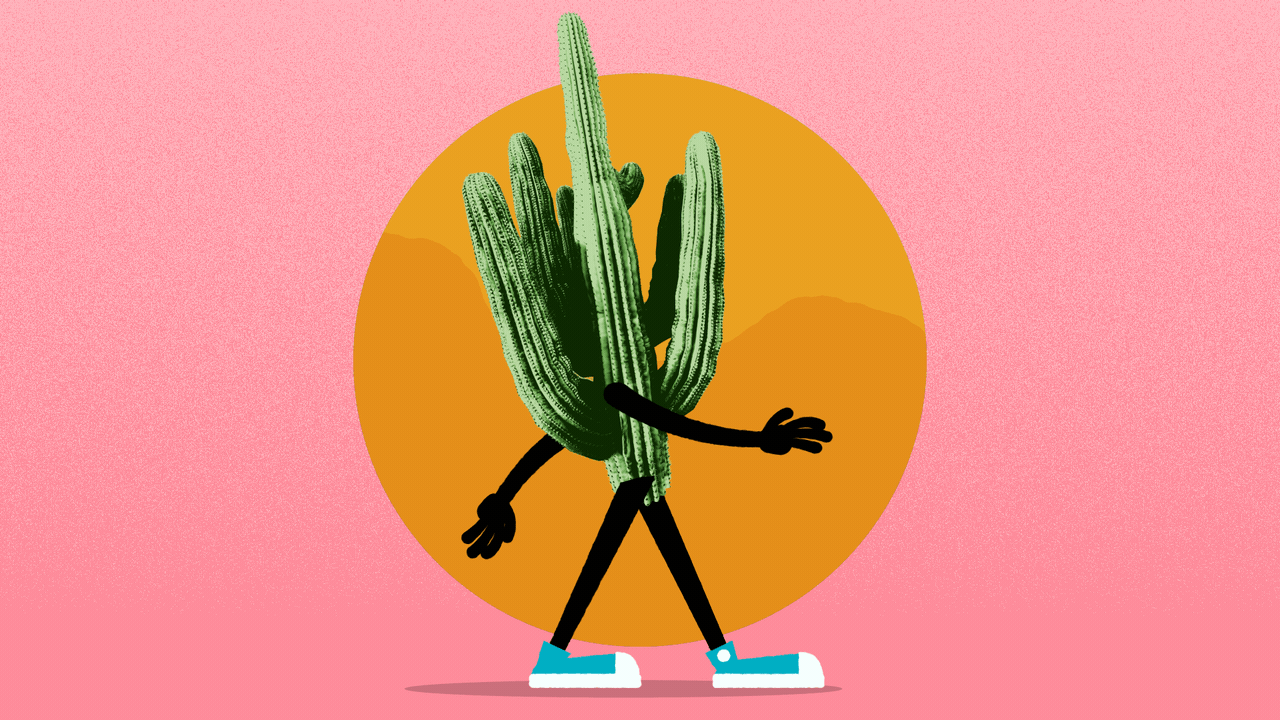 Chips and salsa: Jill Biden interrupted - Axios Phoenix