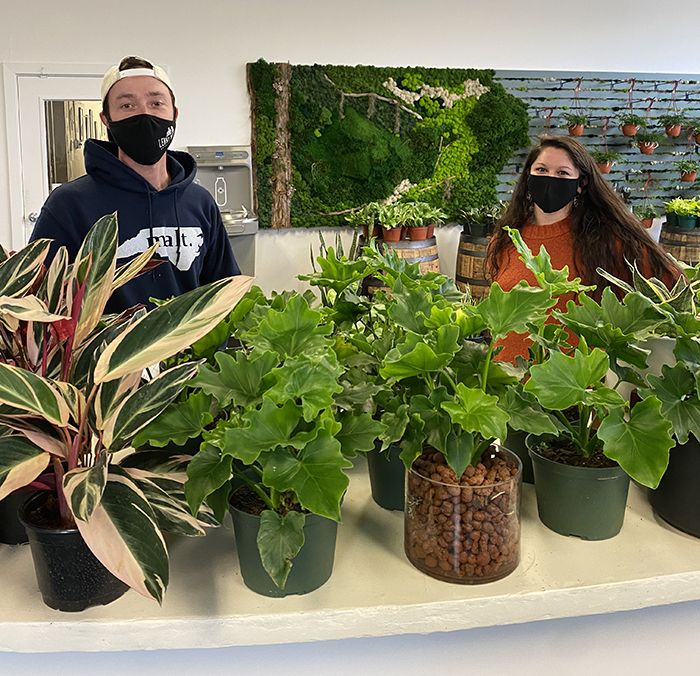 lenny boy plant room