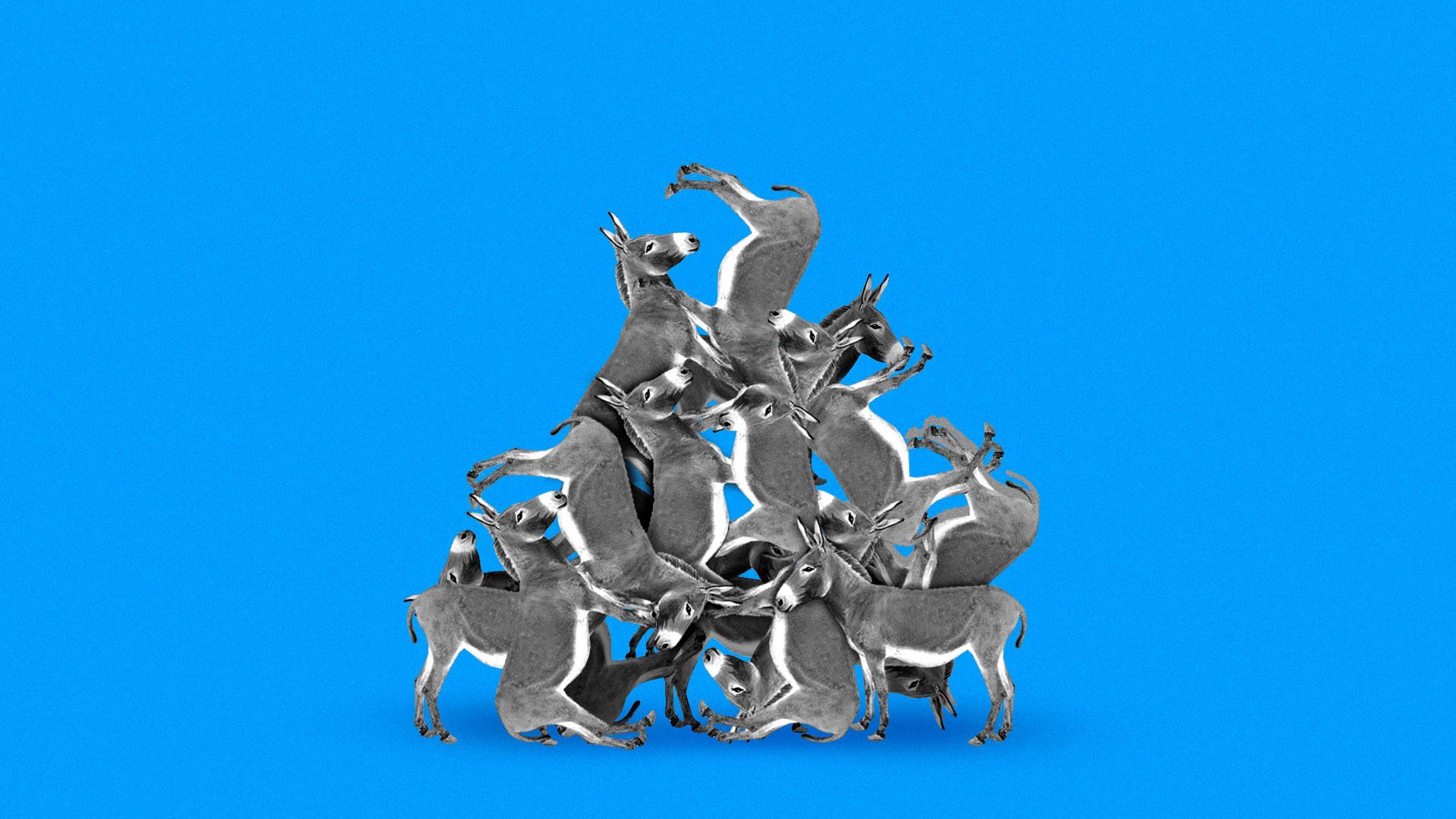 Illustration of a pile of donkeys.