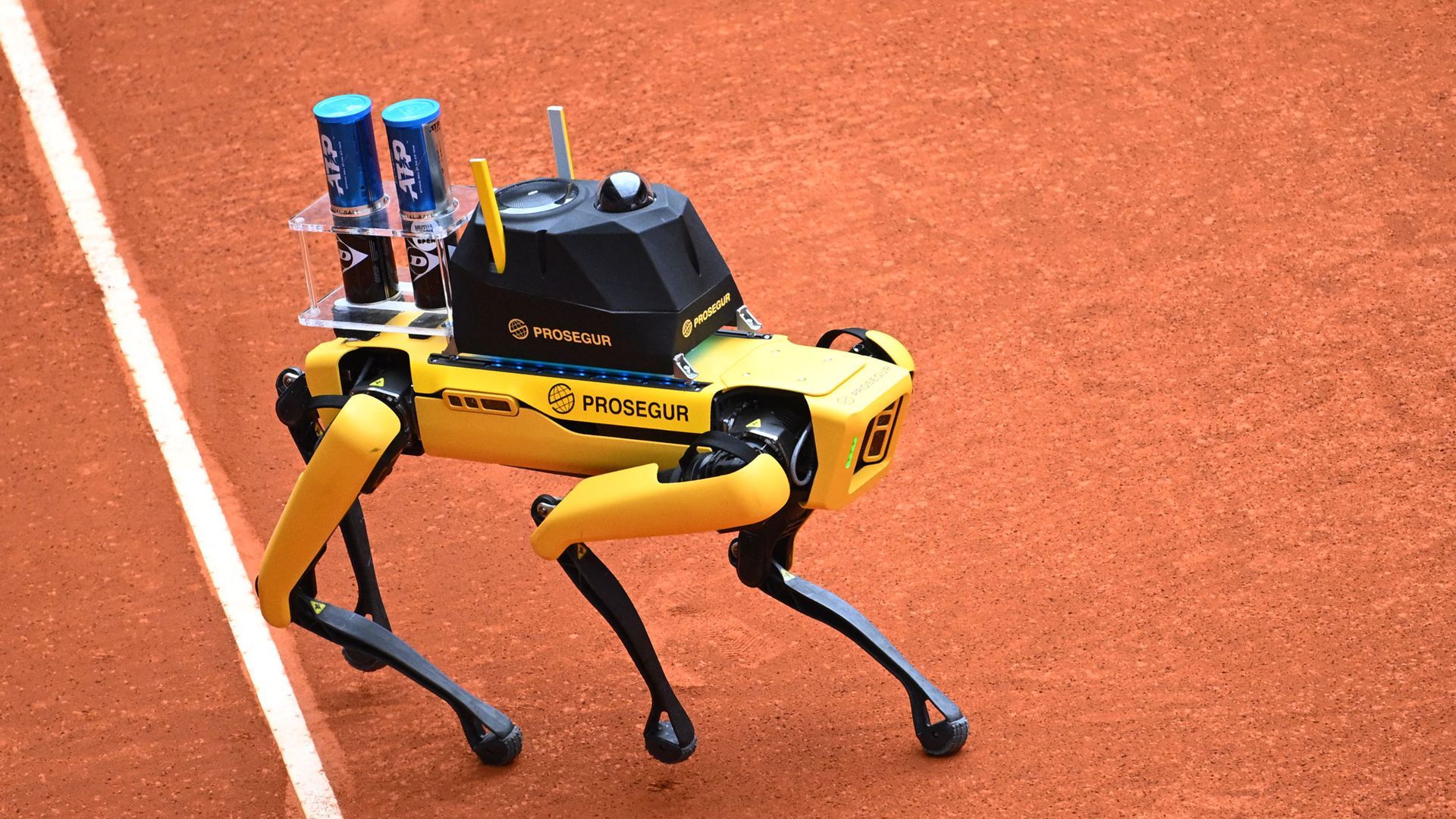 A robotic dog carries tennis balls at the 2022 ATP Tour Madrid Open.