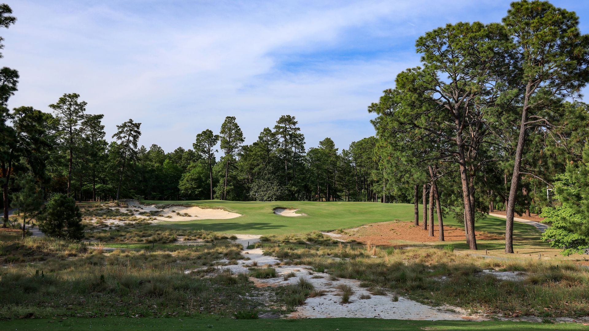 Pinehurst No. 2's restoration saved water and cut down pesticides - Axios  Raleigh
