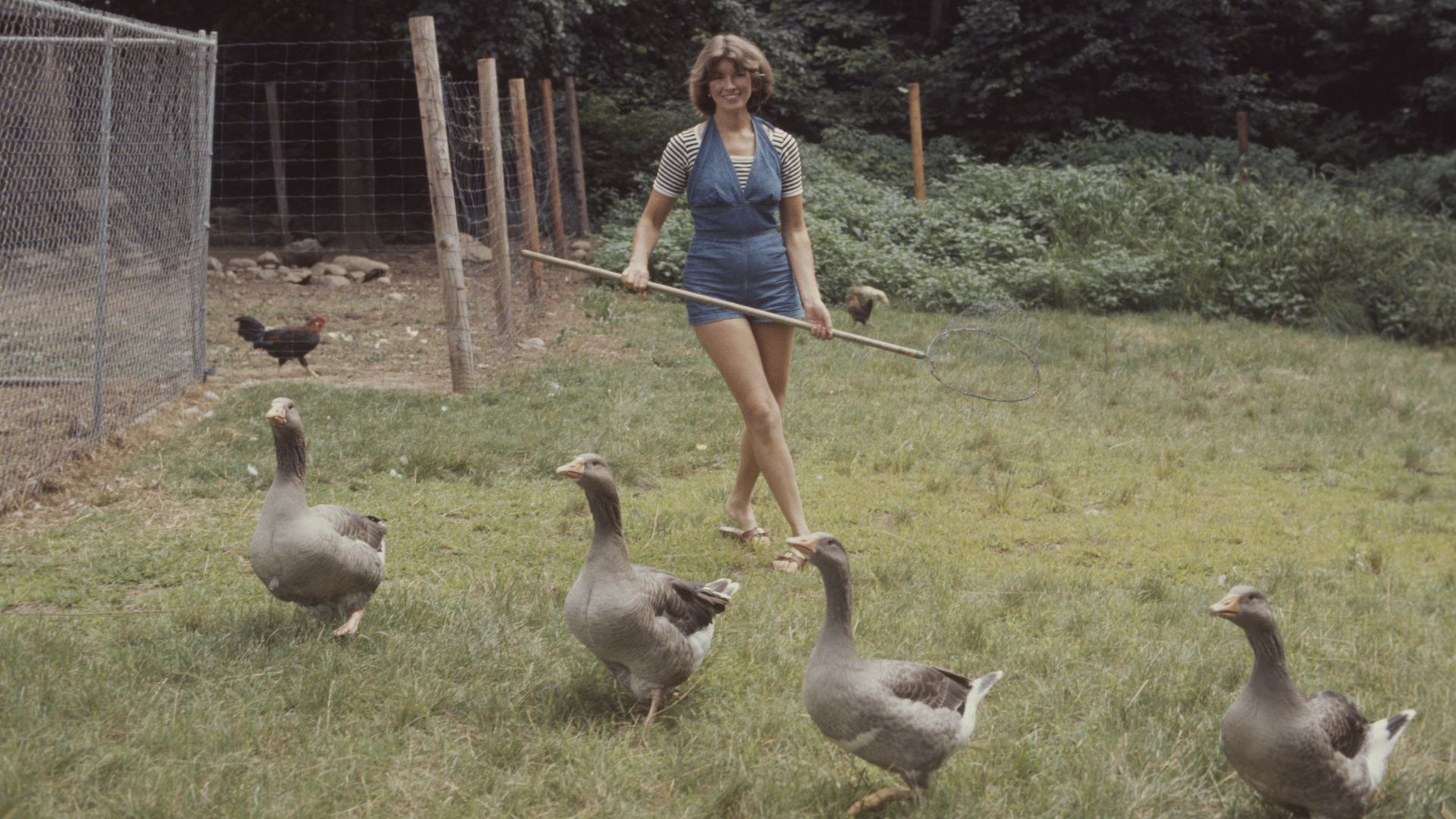 Martha Stewart carries a net as she herds geese on the grounds of her home, Westport, Connecticut, August 1976. 