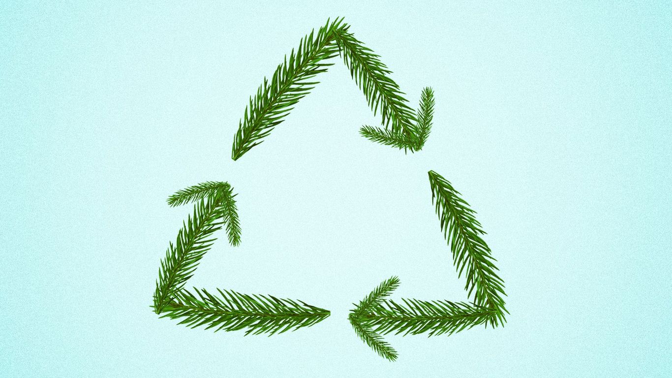 How to recycle your Christmas tree in Denver Axios Denver