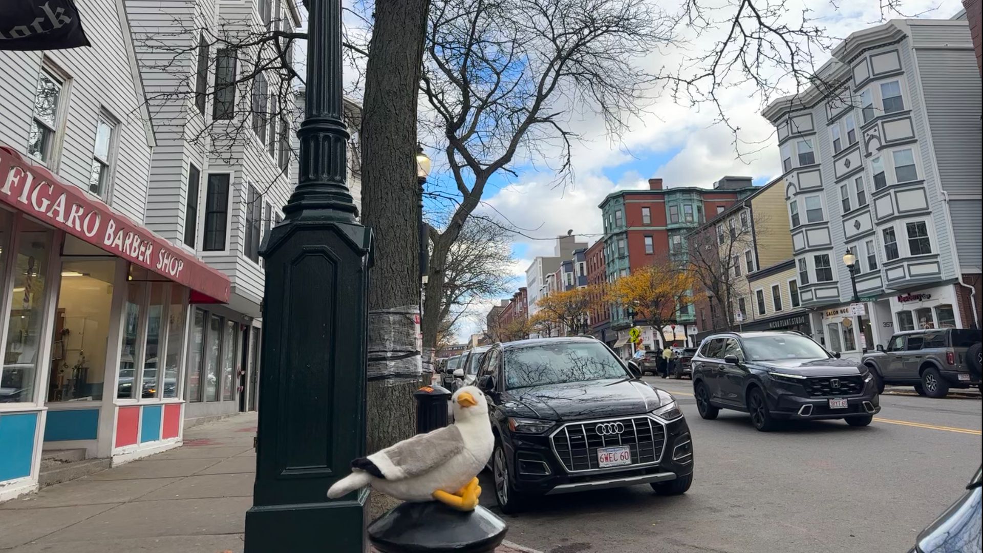 Townie, Axios Boston's plush gullscott, poses for a picture on a city street in the Boston area near "Figaro Barber Shop."