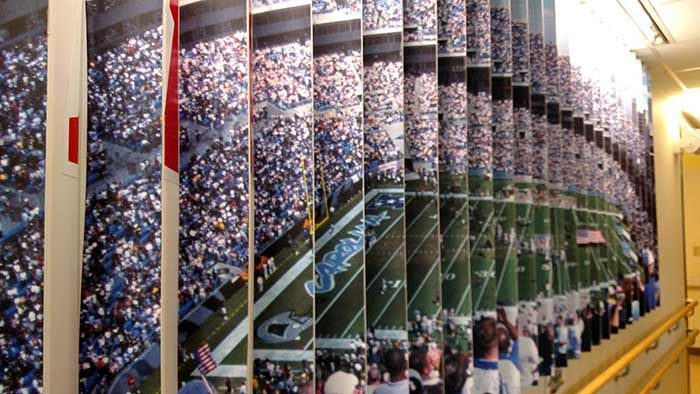 Levine Children's Hospital panthers 2