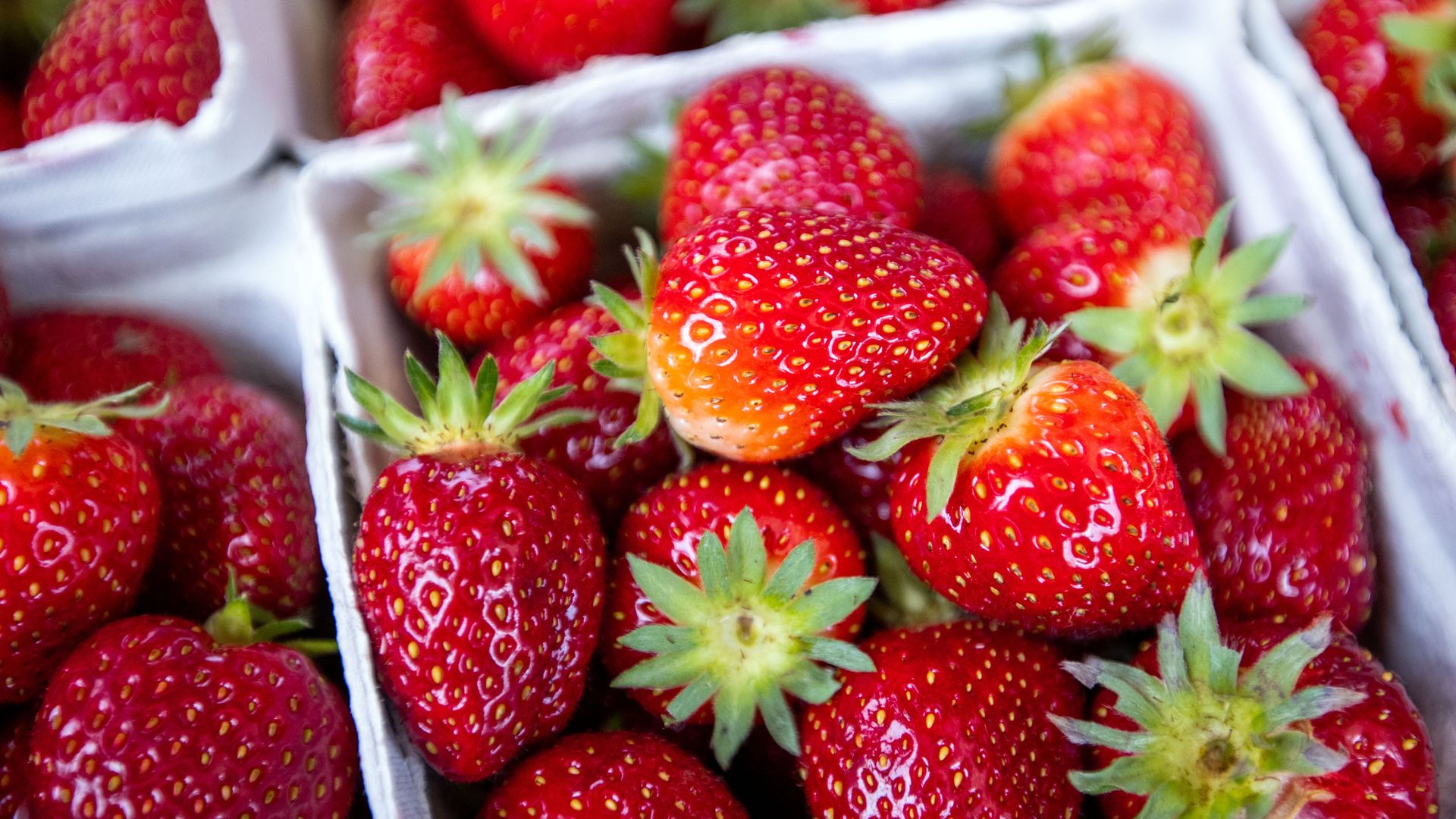 A close up of strawberries in a carton