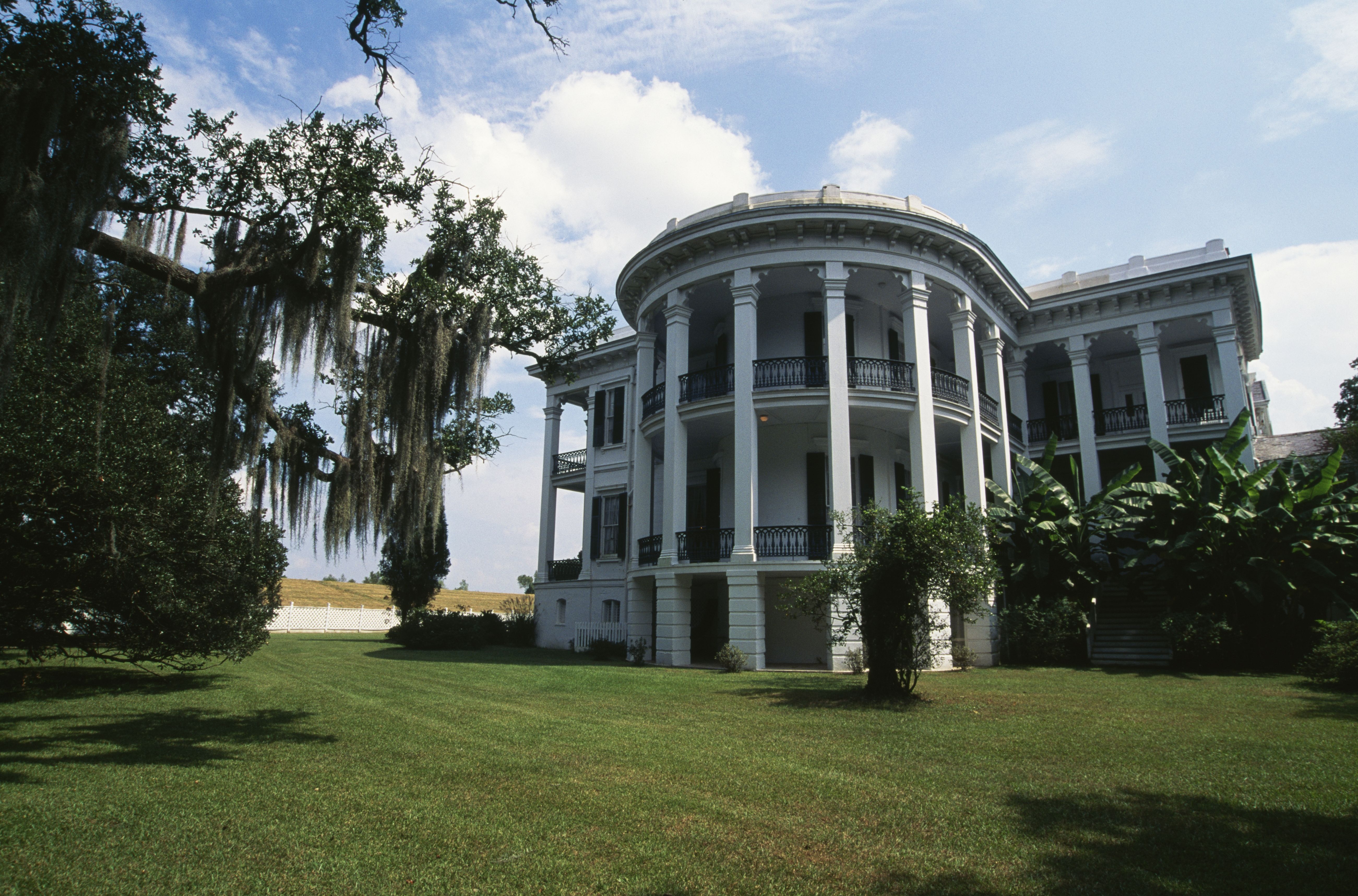 A large white mansion is spotted next to an oak tree.
