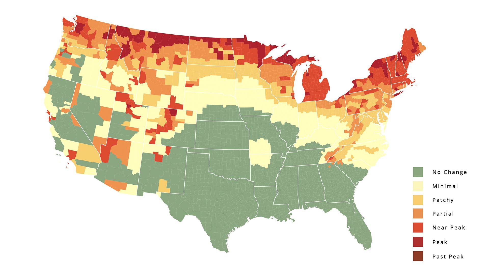 A map of the United States shaded to show when different counties have their peak autumn colors. 