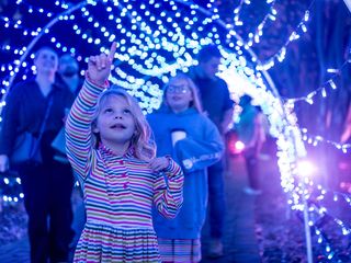 How to do Galaxy of Lights like a pro - Axios Huntsville