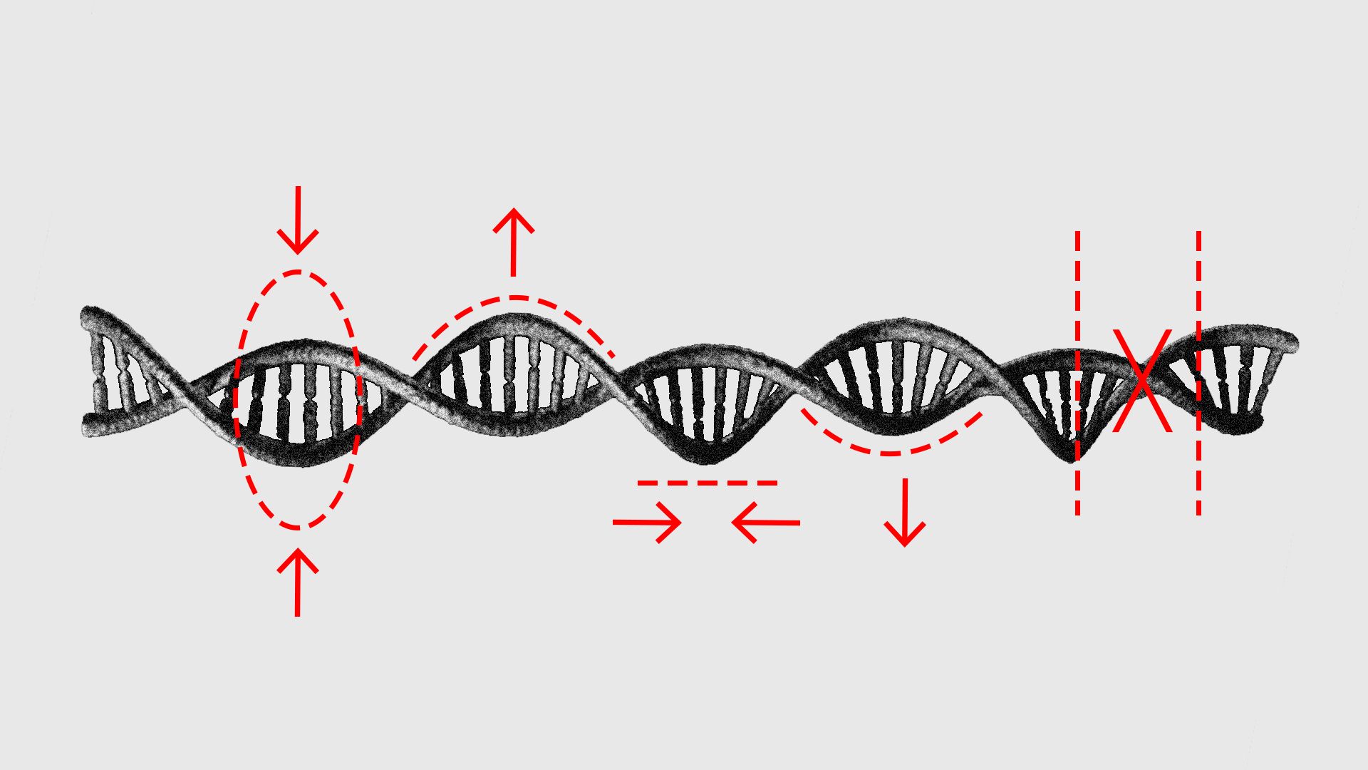 Illustration of DNA molecule with edits.