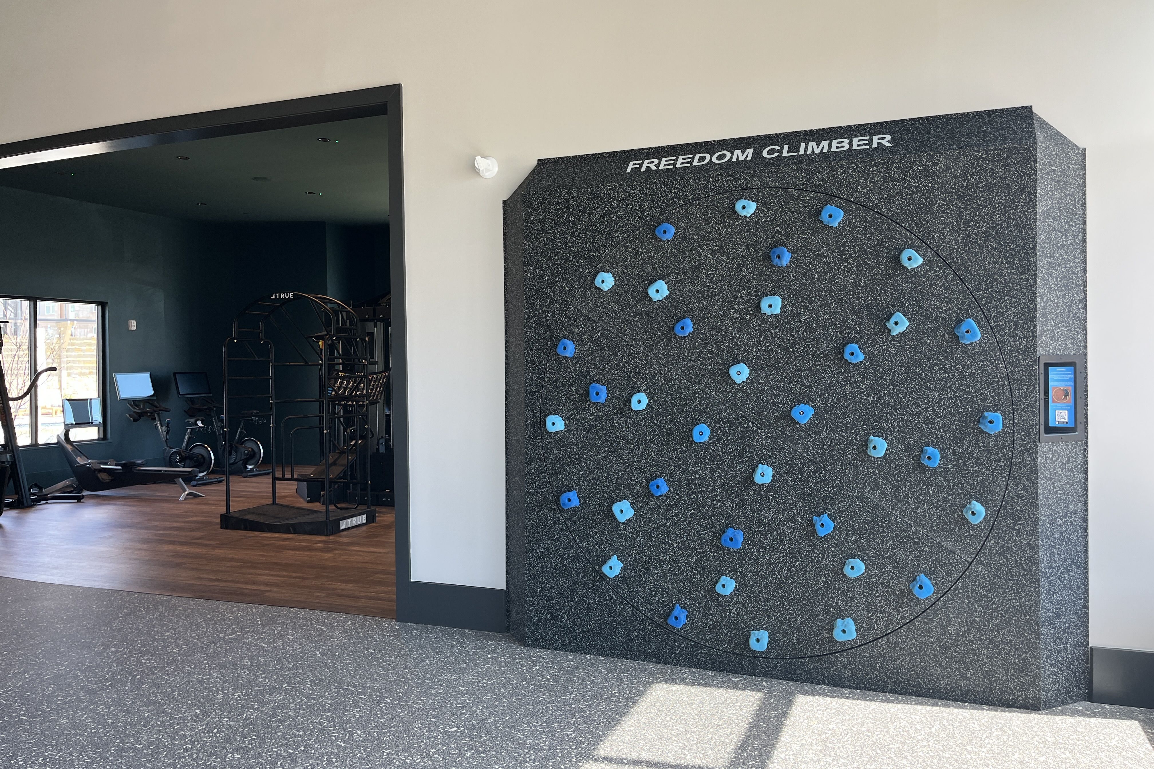 Indoor gym scene with a large freestanding climbing wall labeled FREEDOM CLIMBER, covered in blue holds. Left room shows cardio equipment and a metal climbing structure, with sunlight through windows.