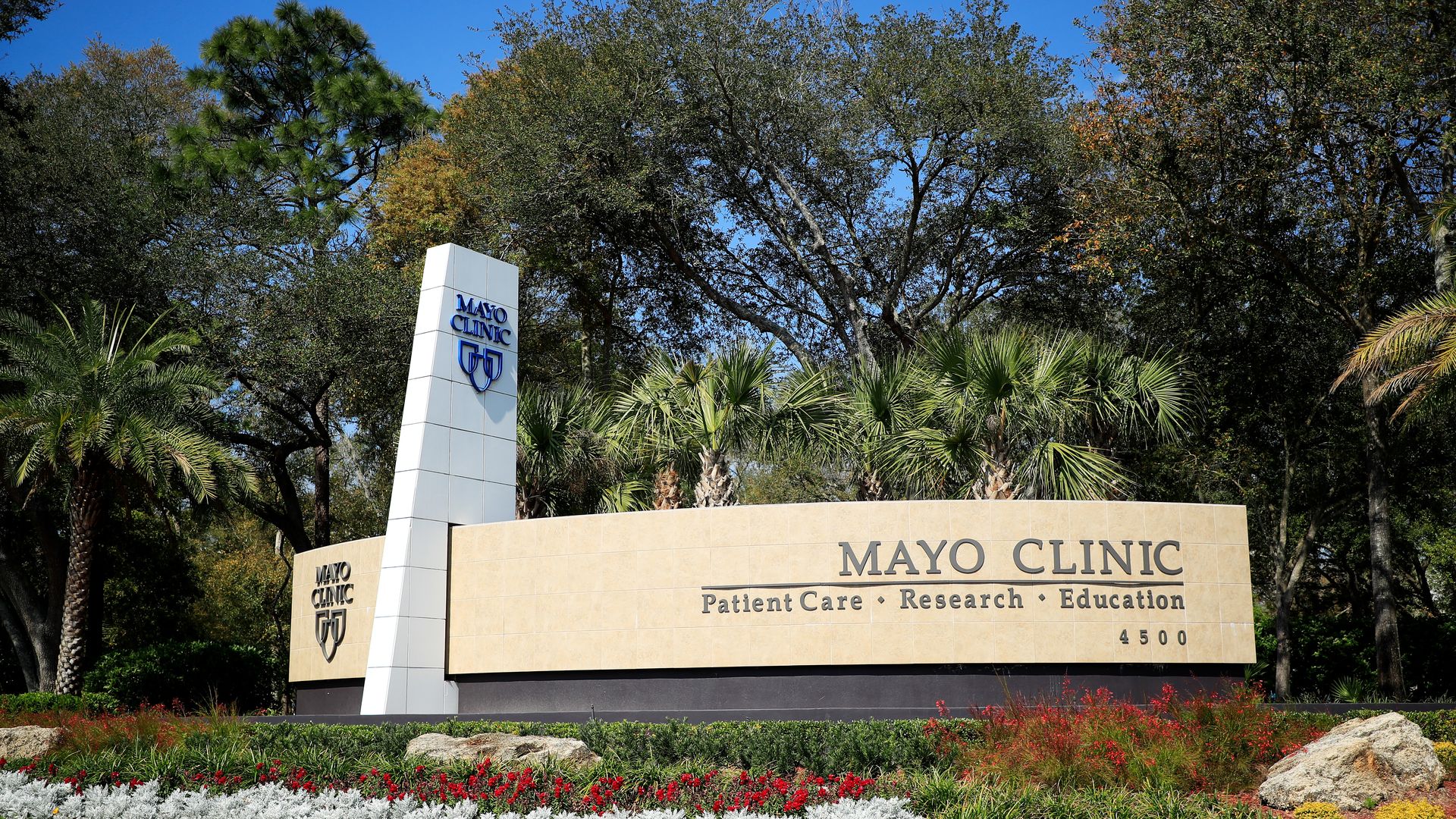 A Mayo Clinic sign surrounded by trees and flowers on the hospital campus.
