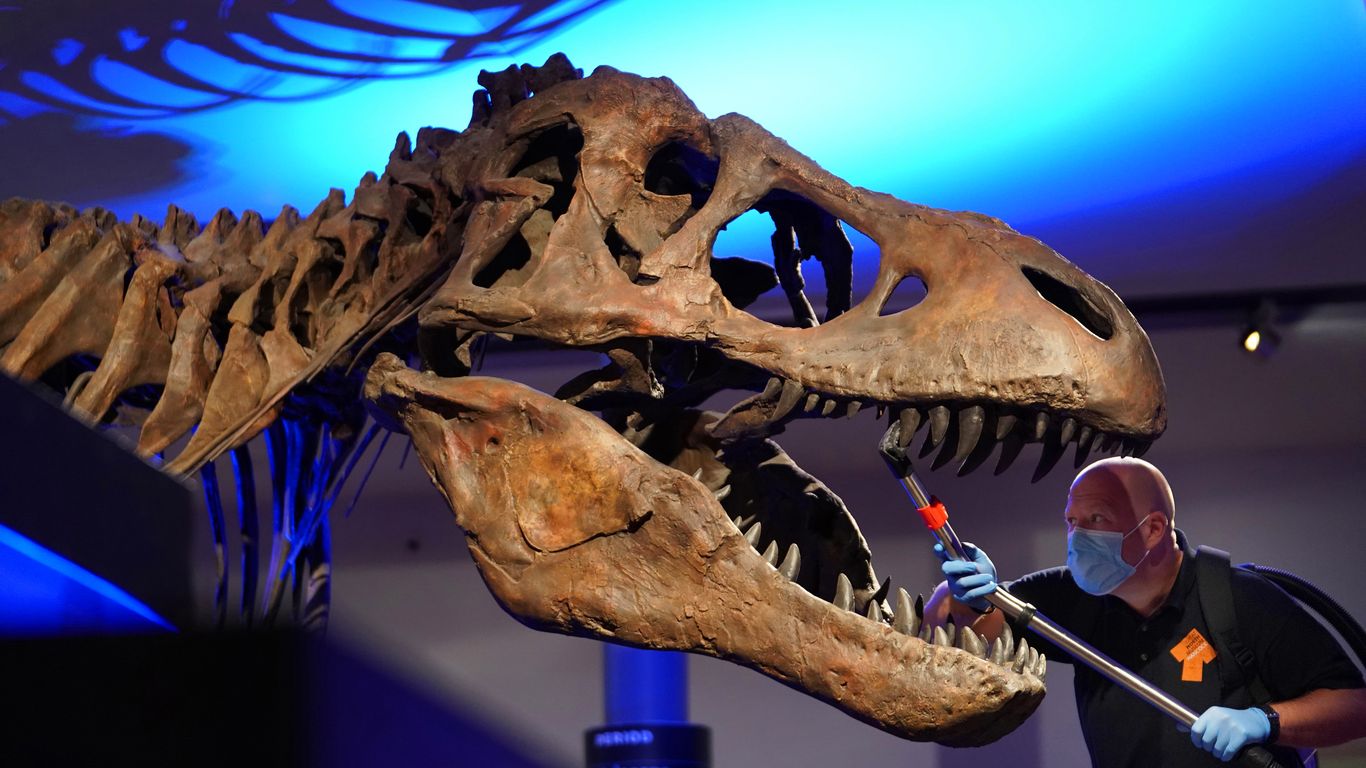 Two and a half billion T. rex dinosaurs once lived, the study found