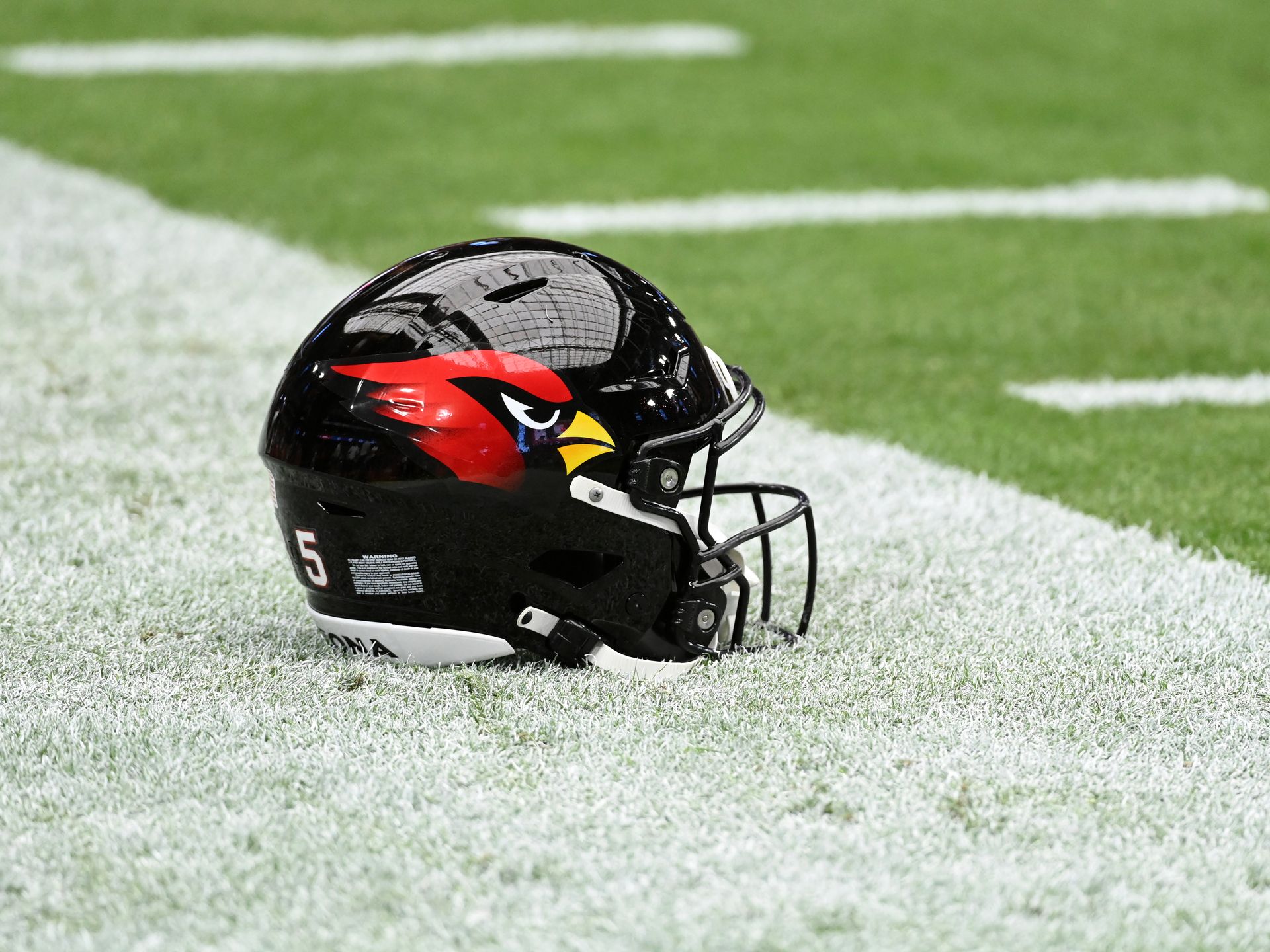 Download Arizona Cardinals Red Bird Helmet Wallpaper