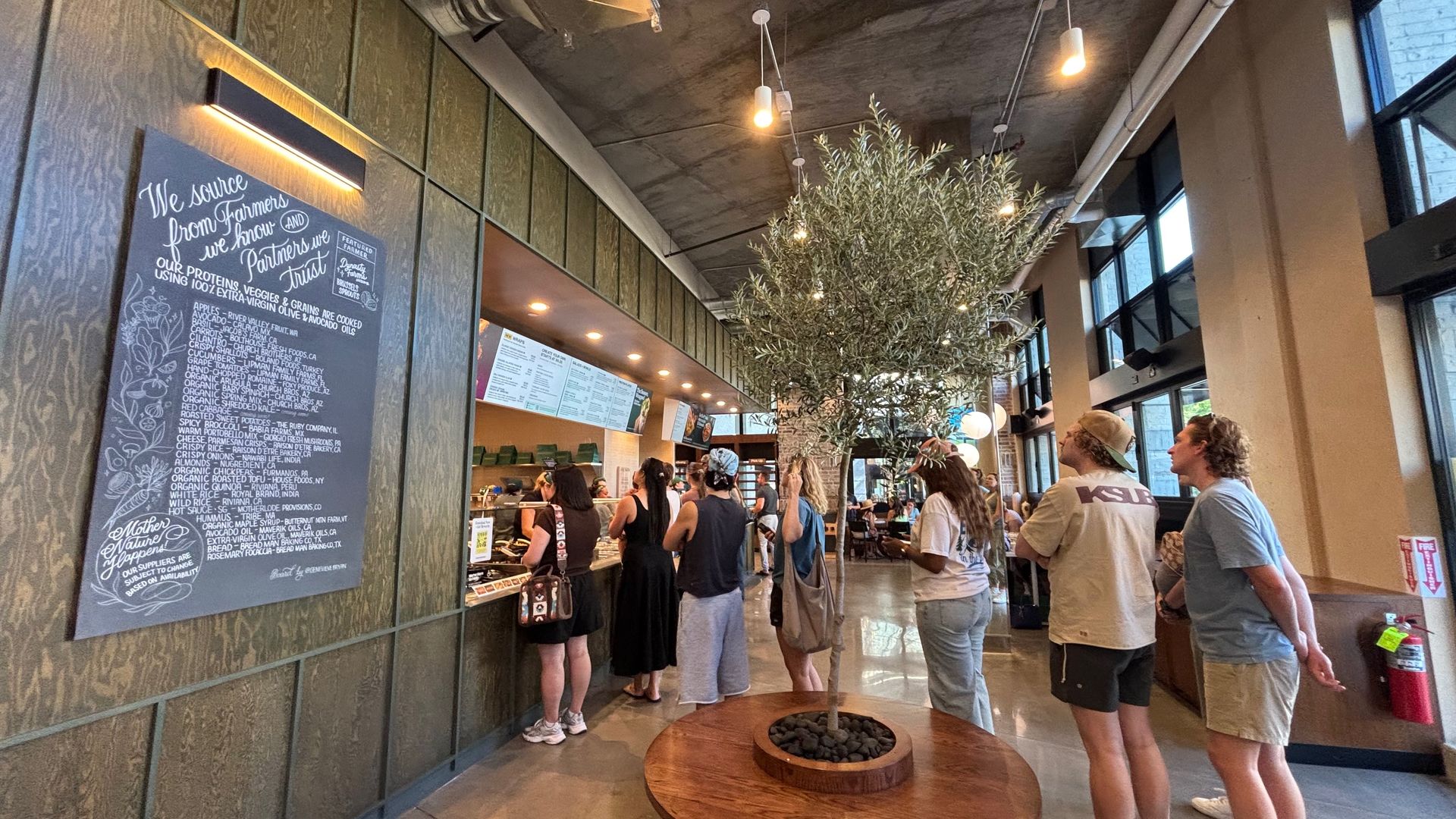 A modern cafe interior: a large chalkboard menu on a textured wall, customers lined up at the counter, a tall potted tree centerpiece, and exposed ceiling pipes with warm pendant lighting.