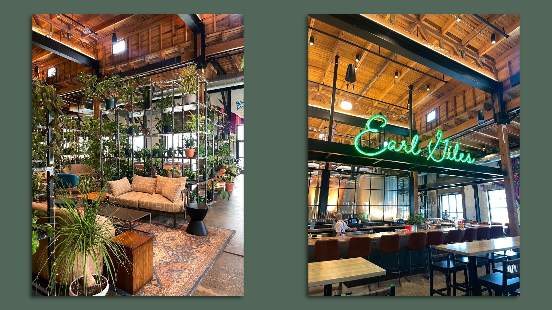 A photo of a couch with plants surrounding it, and a photo of a bar with the words Earl Giles in neon above it. 