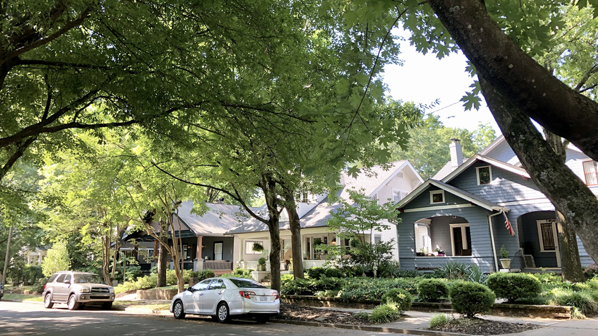 residential street with a few houses and cars and giant old trees