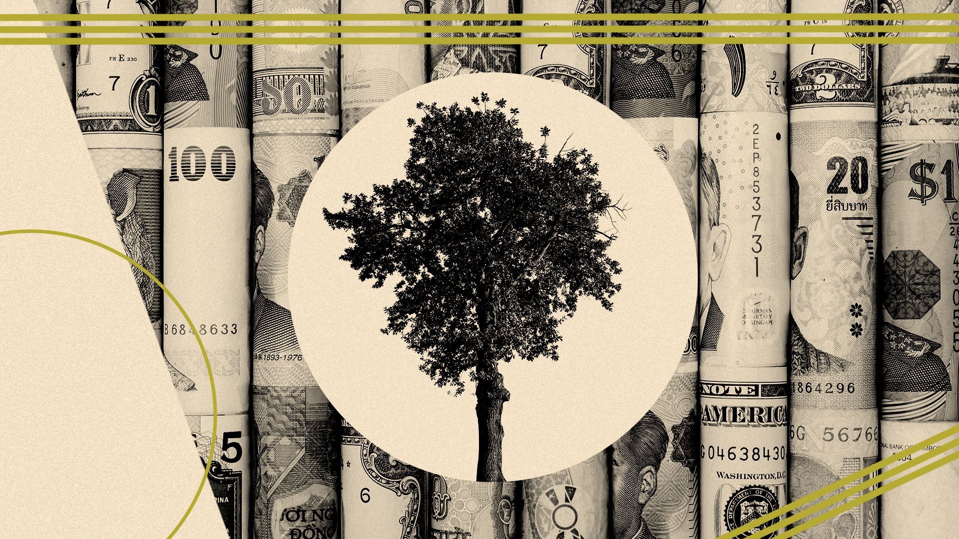 Illustration of a row of rolled up currency from around the world behind graphic shapes and a black and white photo of a tree.