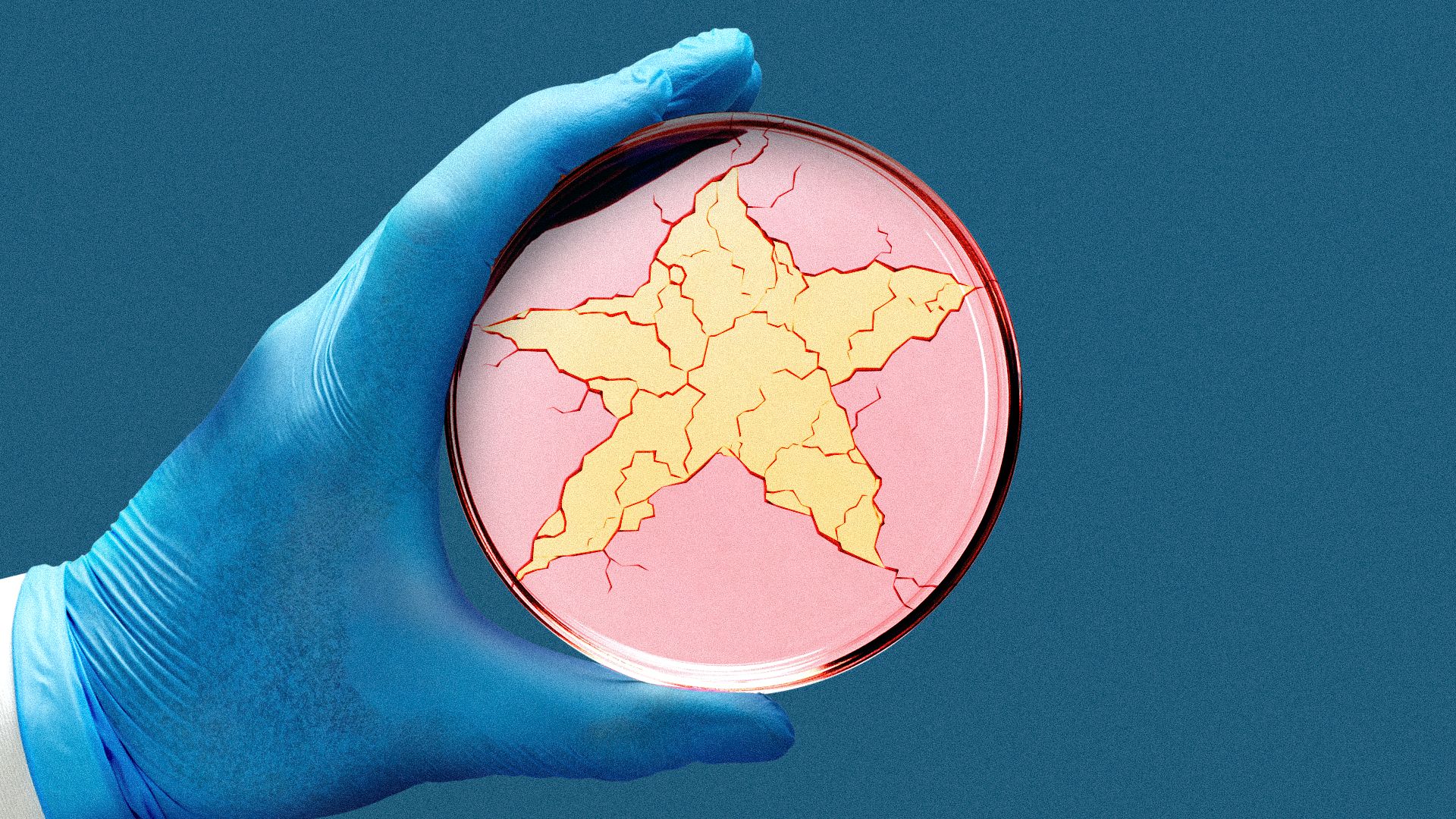 Illustration of a scientist holding a broken petri dish with the break in the shape of a yellow star