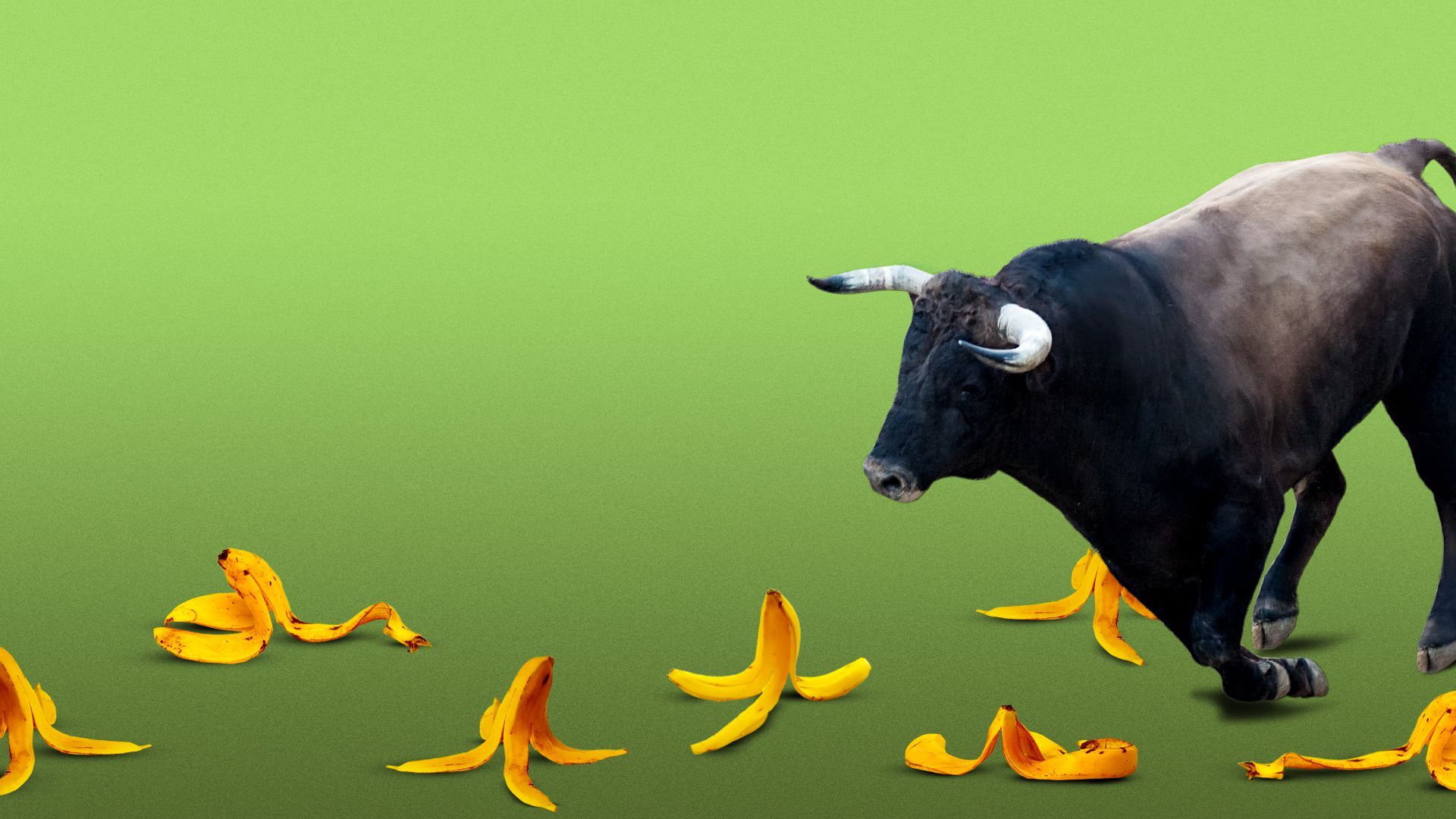 Illustration of a bull slipping on a floor covered in banana peels. 