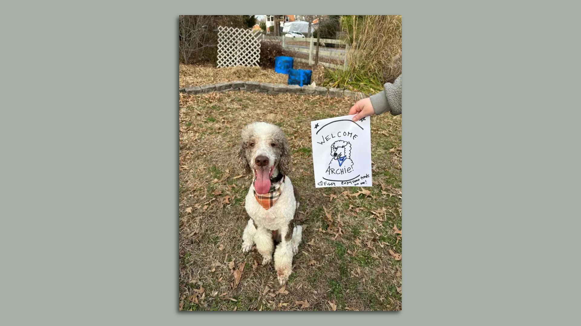 A white and gray dog with his tongue out next to sharpie drawing of himself 