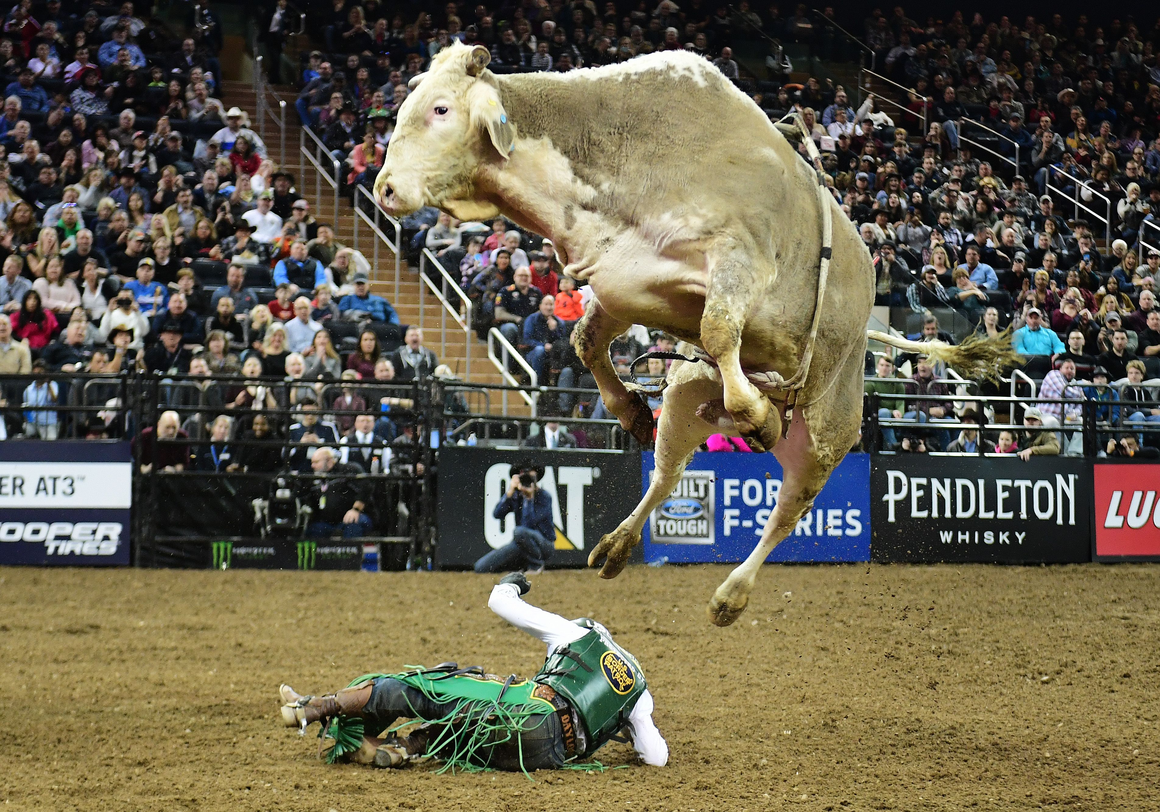Bull riding