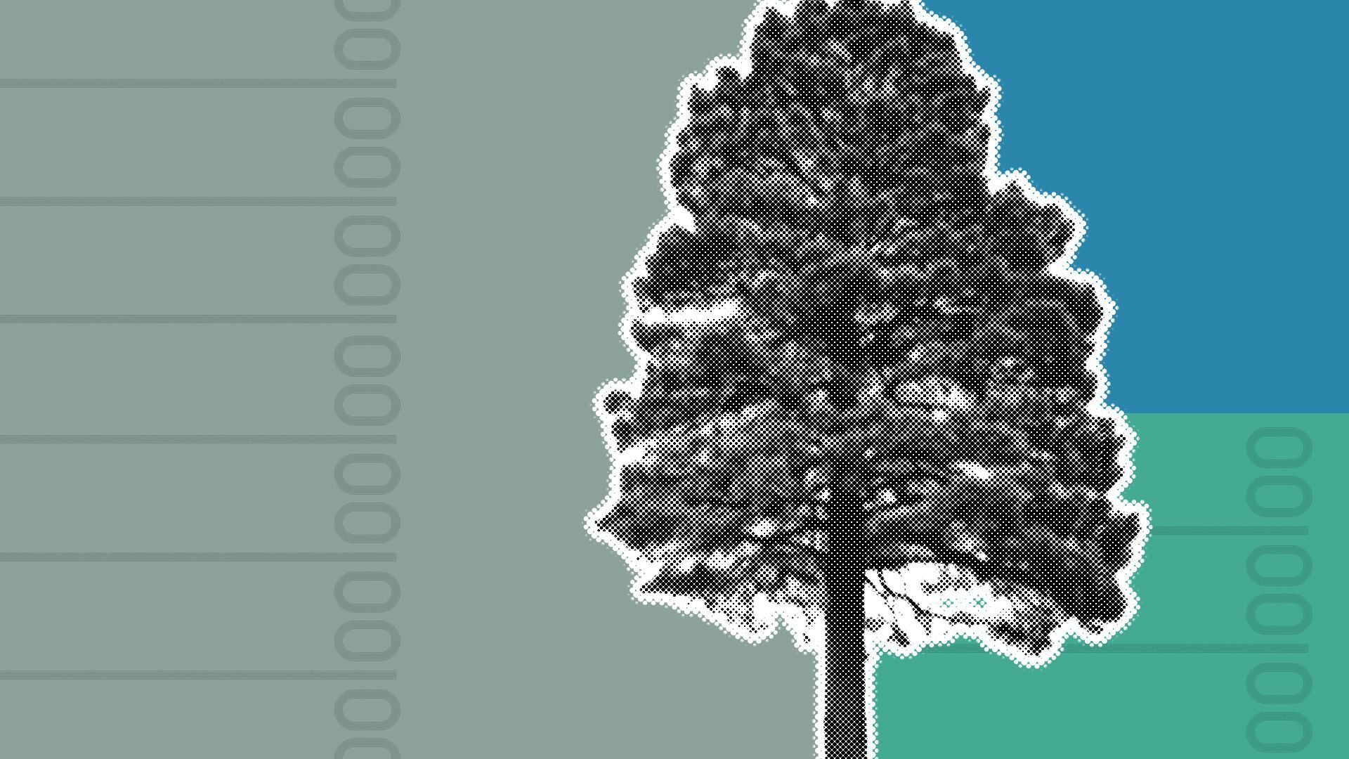 Illustration of a tree with shapes and ballot elements behind it