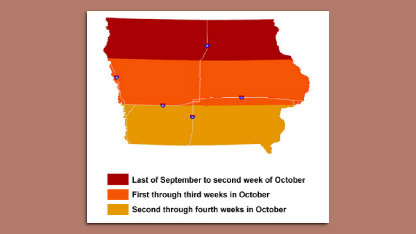 Iowa’s fall foliage forecast