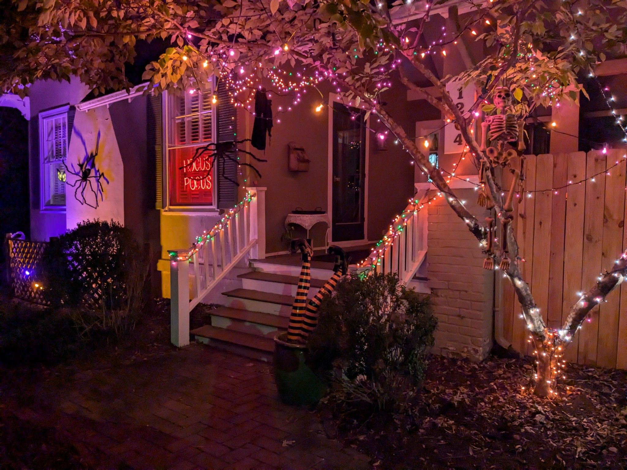 a halloweeen themed hosue 