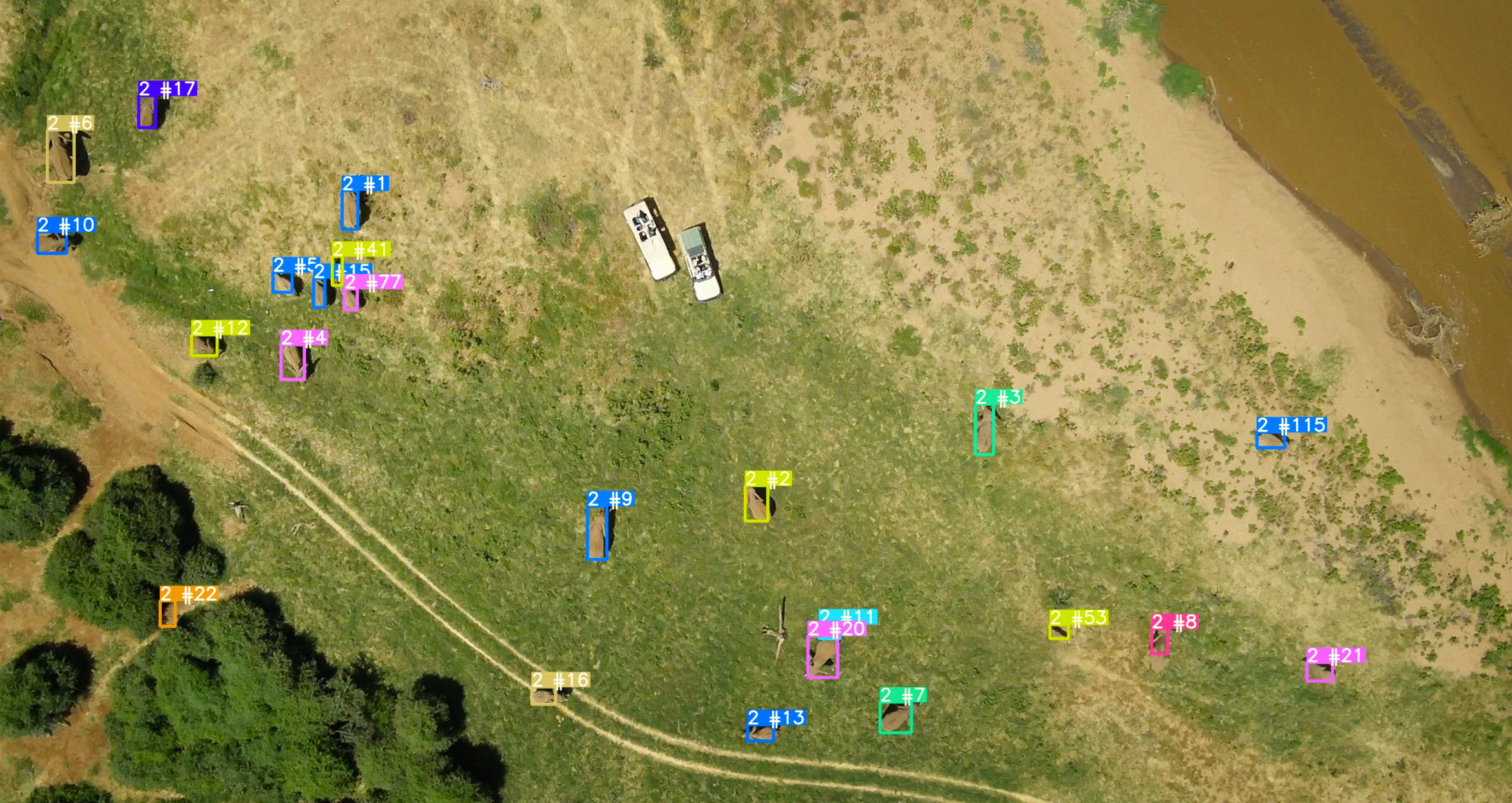 Aerial image with elephants labeled by software