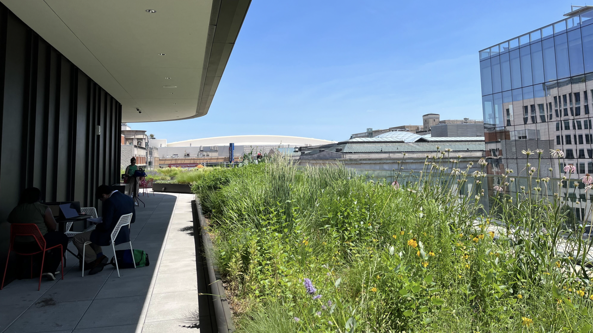 A rooftop with a garden full of grass