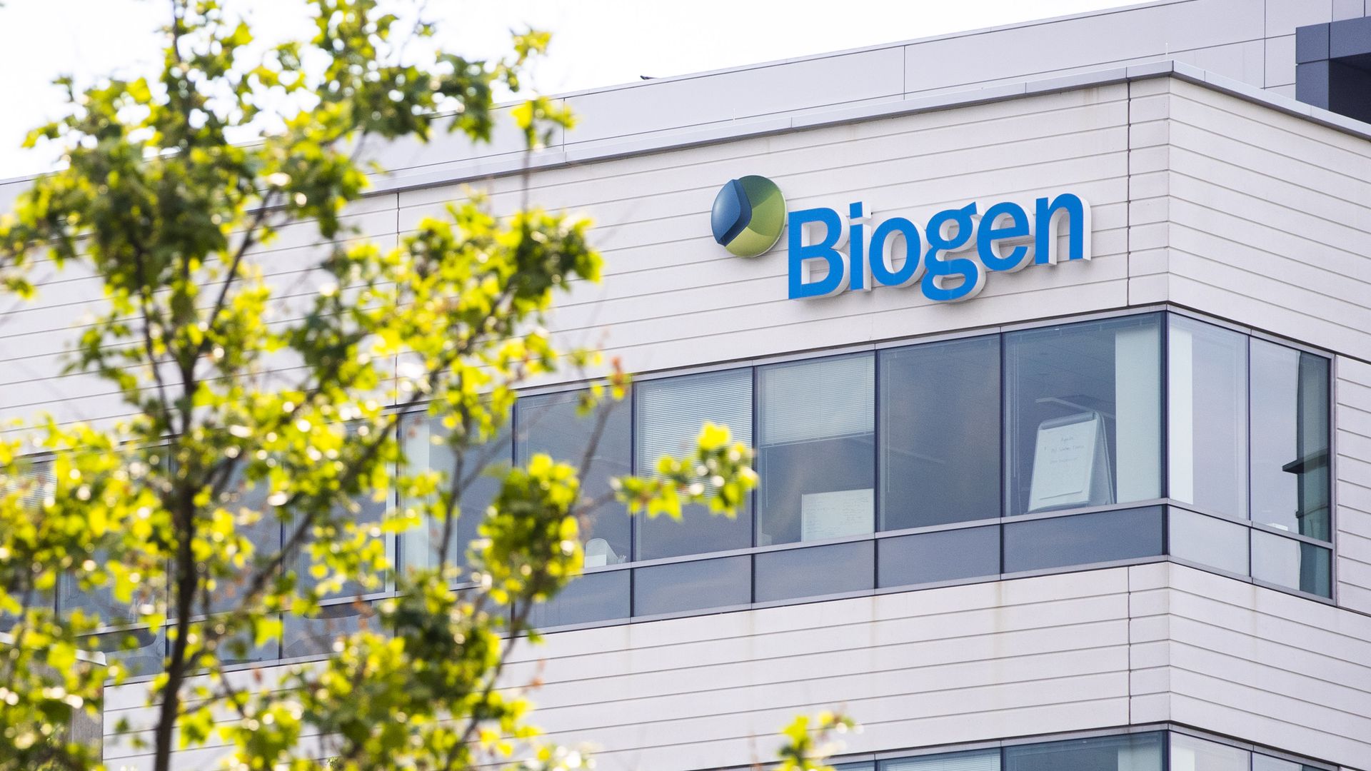 The blue Biogen logo on its white headquarters building and a tree in the foreground.