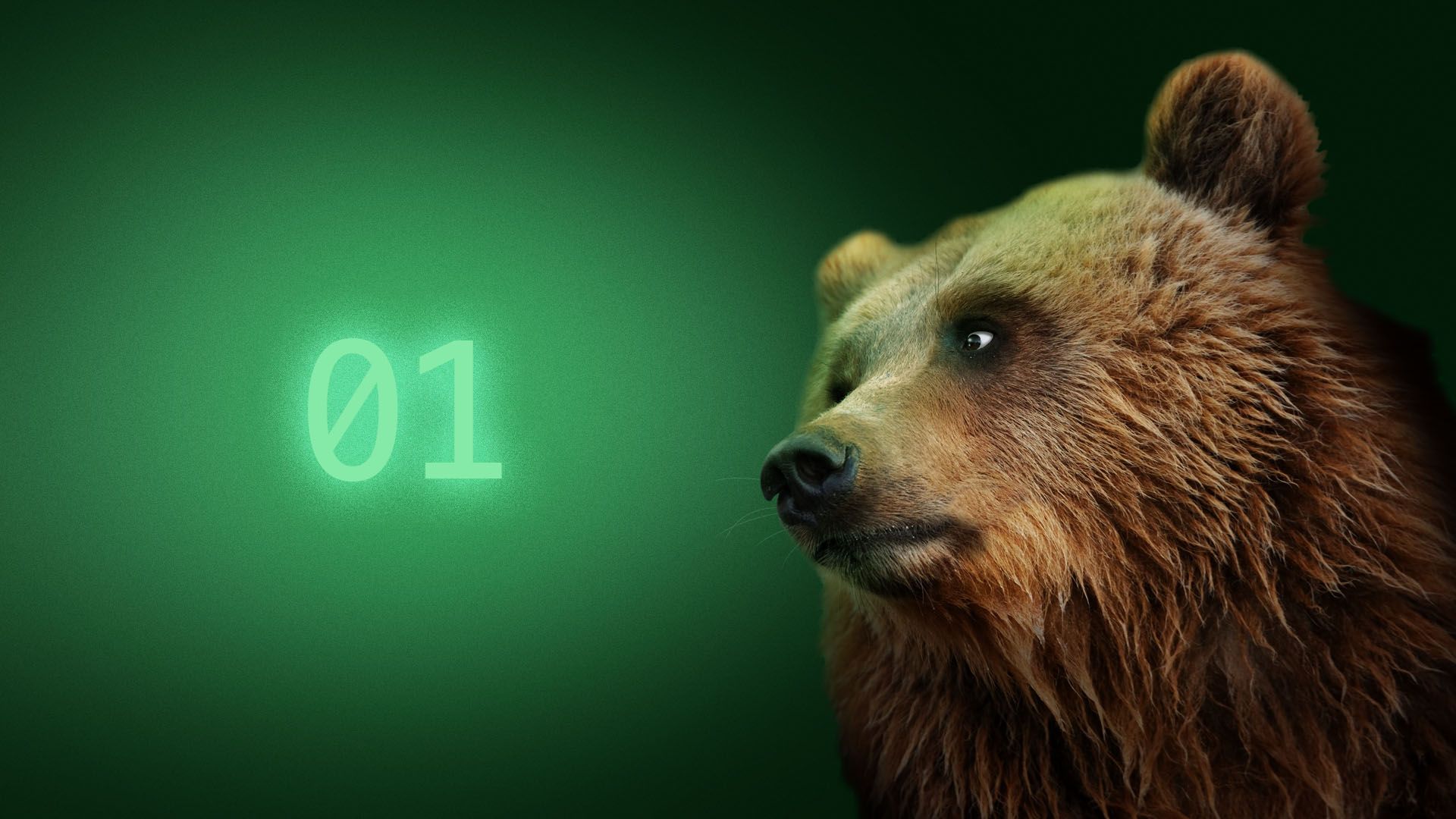 Illustration of a bear looking skeptically at binary code