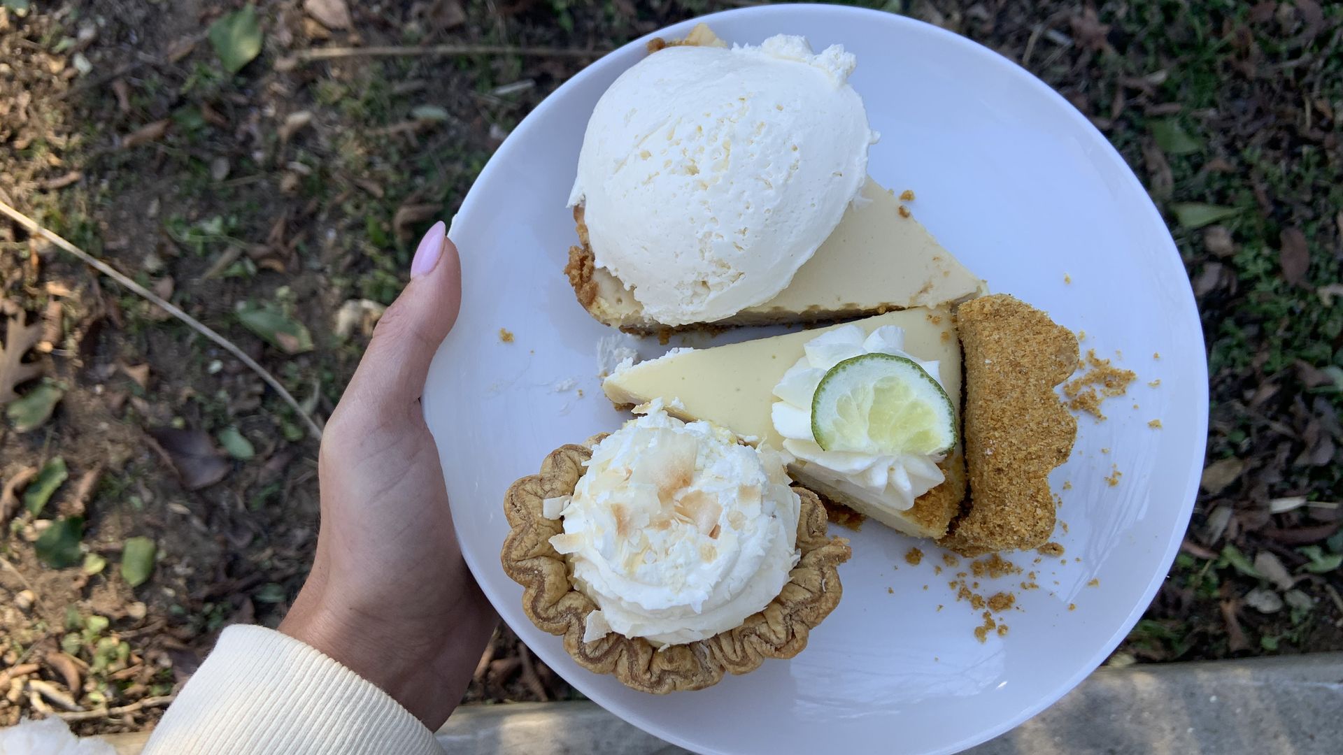 A photo of three pies on a plate