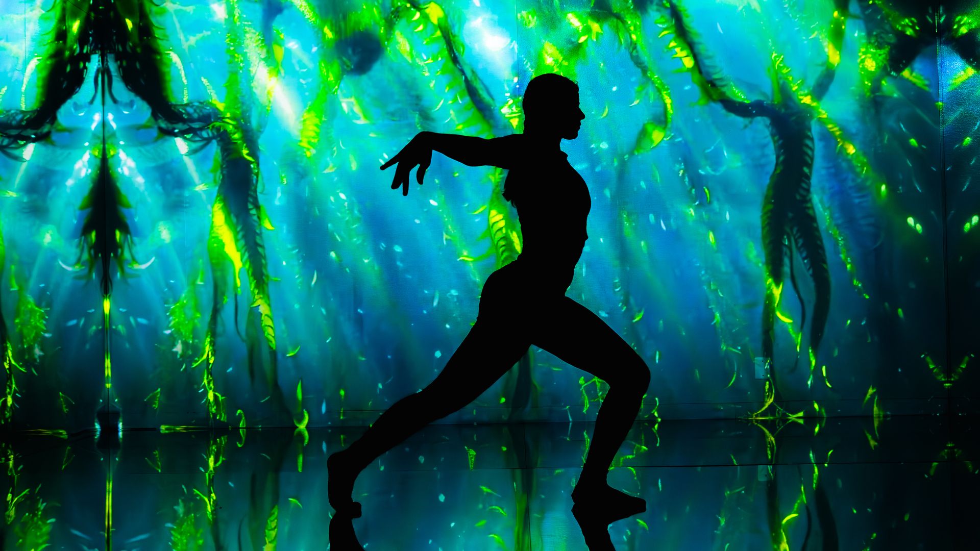 A silouette of a person dancing in front of a screen of kelp underwater.