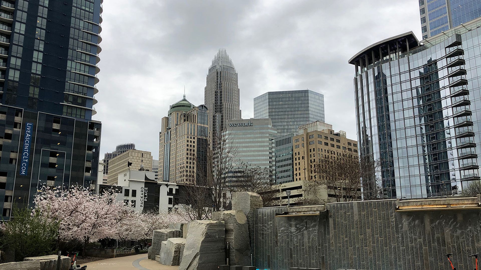 uptown charlotte skyline seen from Romare Bearden Park