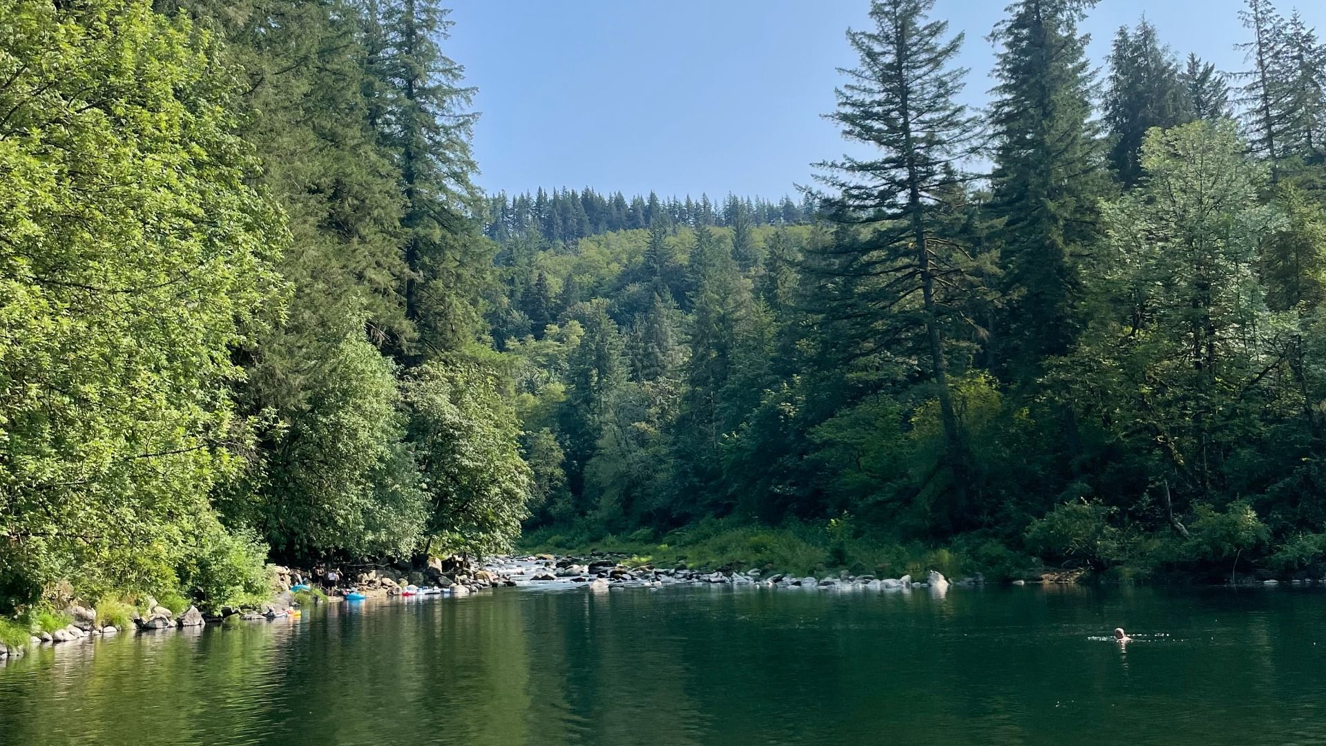 Clear river surrounded by dense green trees and forested hills, with a person swimming in the water under a clear blue sky on a sunny day.