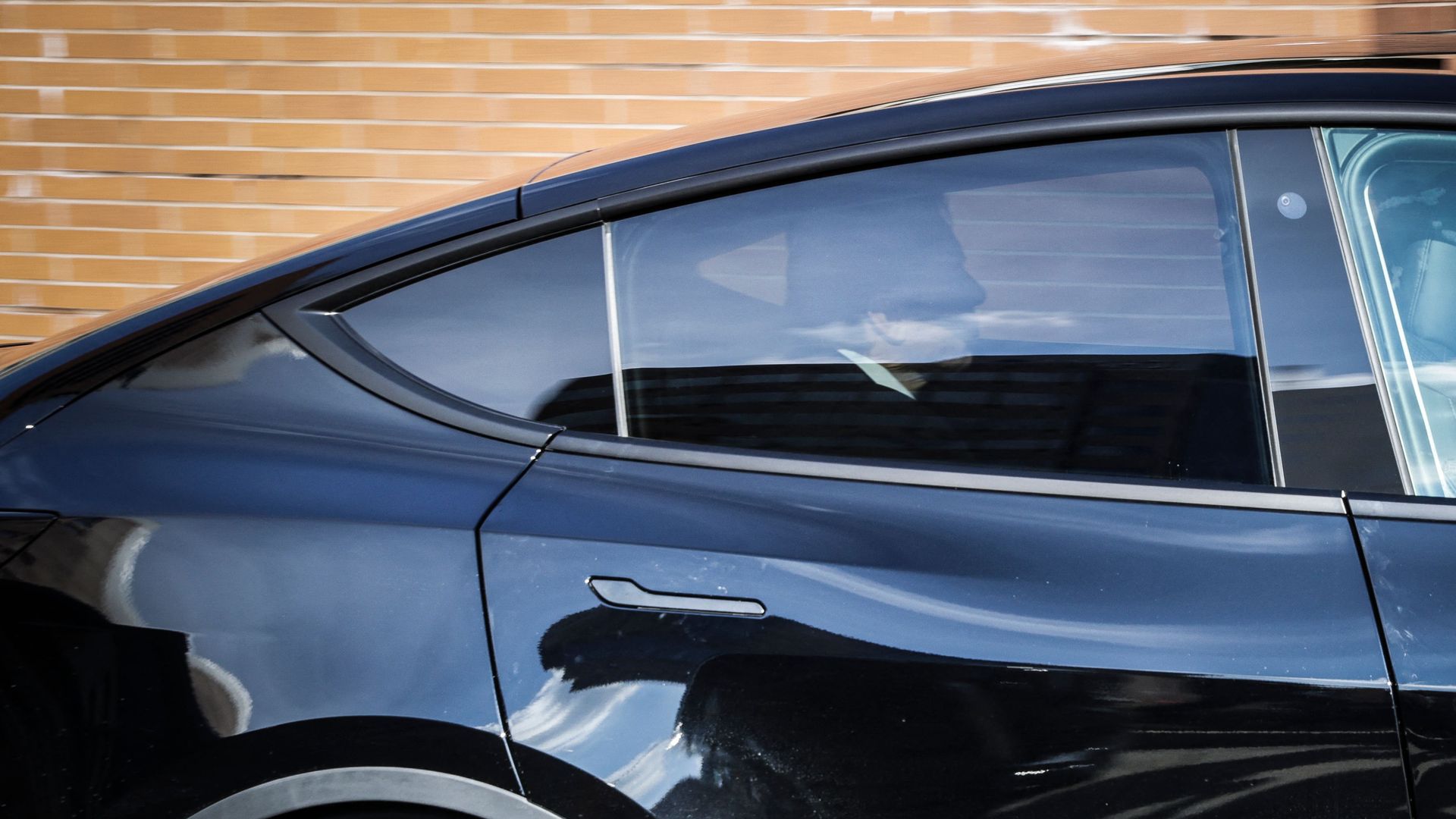 Elon Musk seated in the backseat of a Tesla