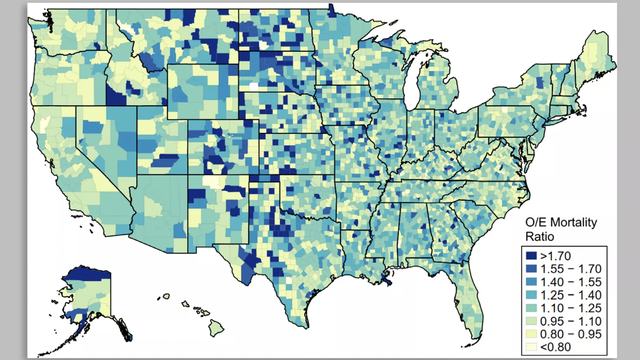 Veterans Died At Lower Rates In 2020 Compared To The General Population